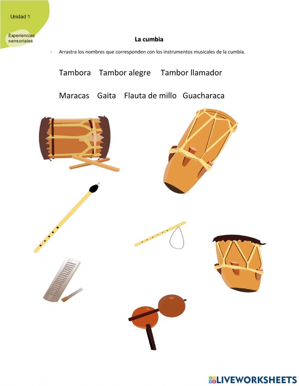 Instrumentos de cumbia y bambuco