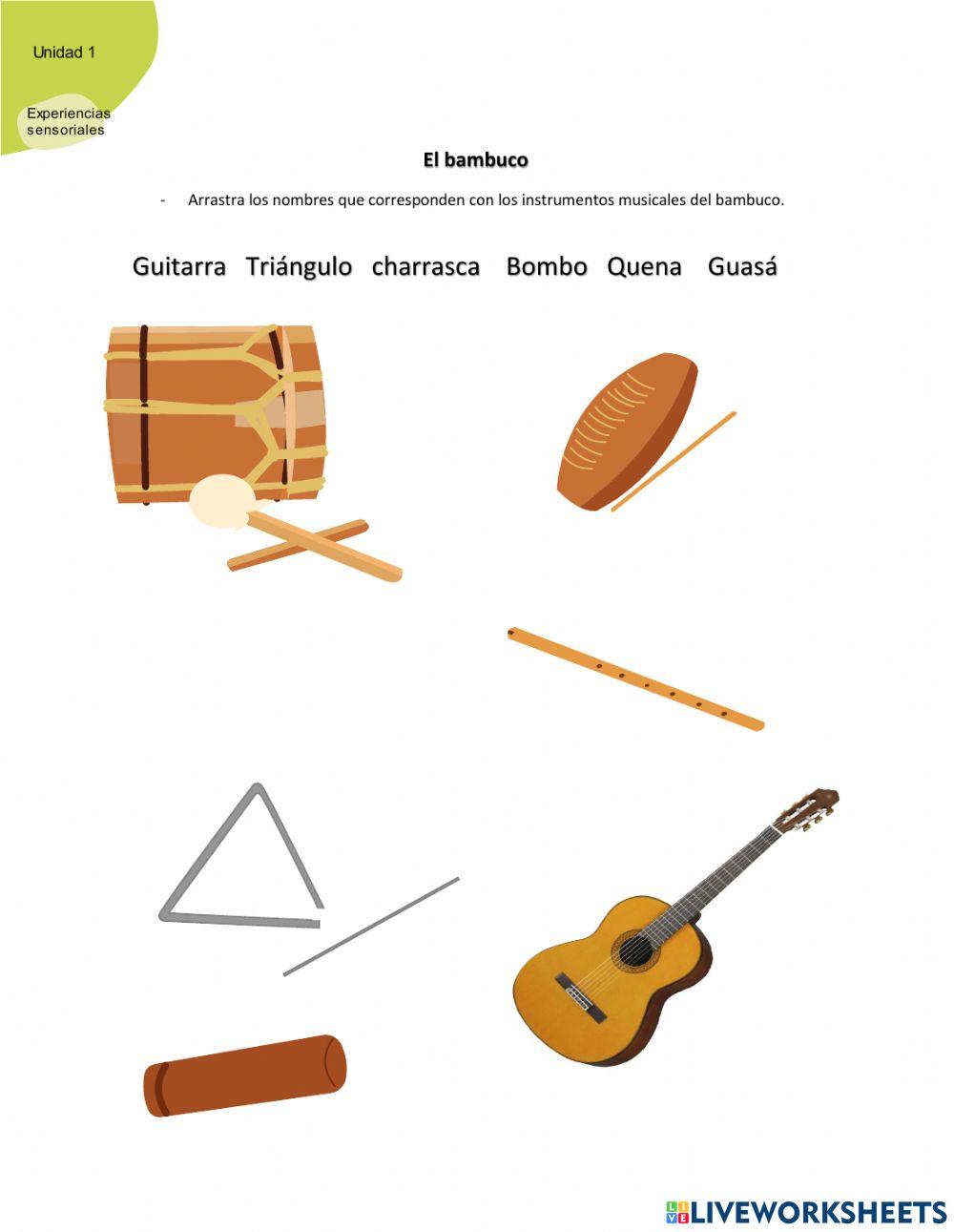 Instrumentos de cumbia y bambuco