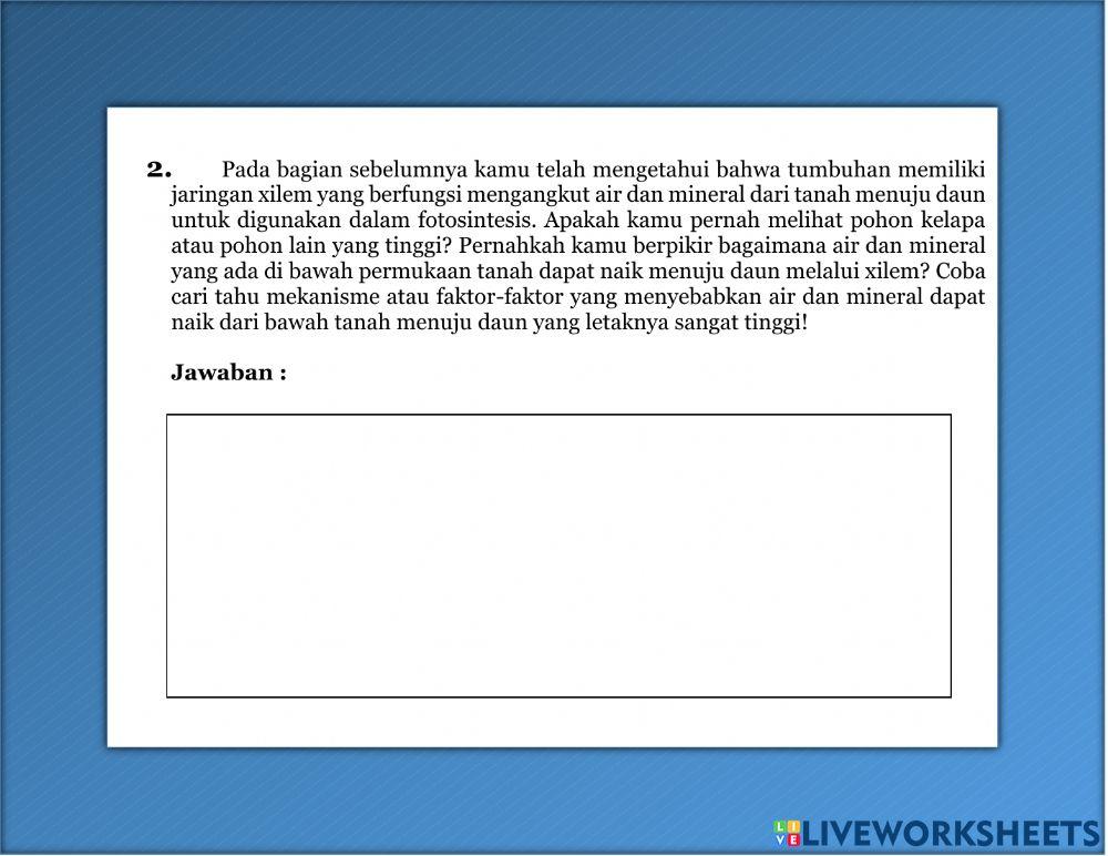Struktur dan Fungsi Jaringan Tumbuhan