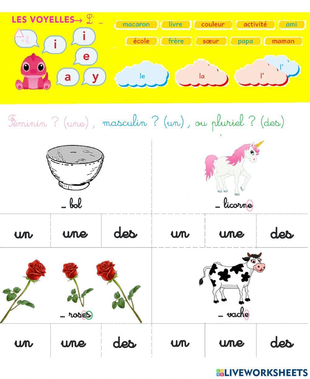 Les articles le la l' et un une des