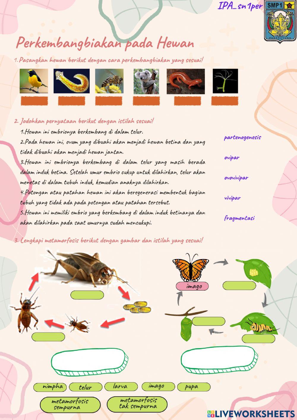 Perkembangbiakan pada Hewan