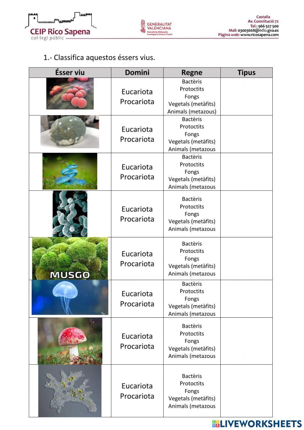 Classificació dels éssers vius