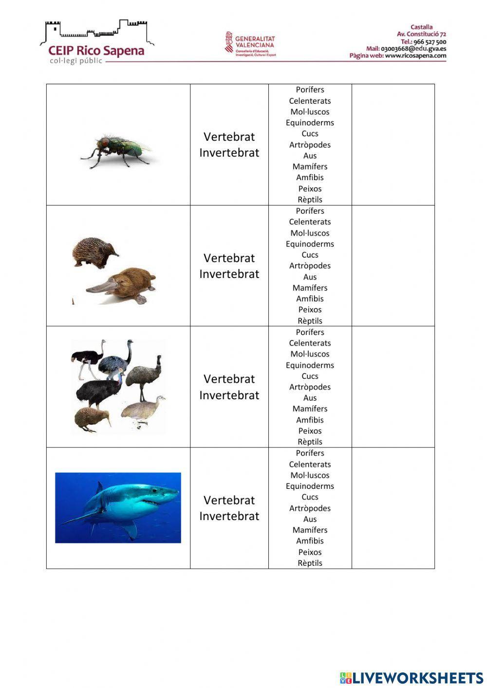 Classificació dels éssers vius