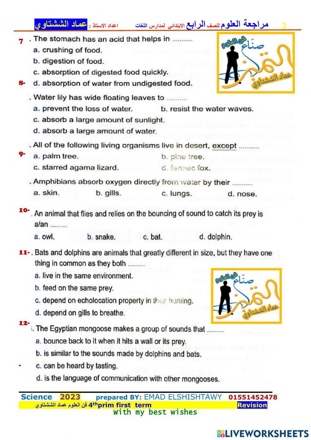 Sheet 1 G4 فن العلوم عماد الششتاوي