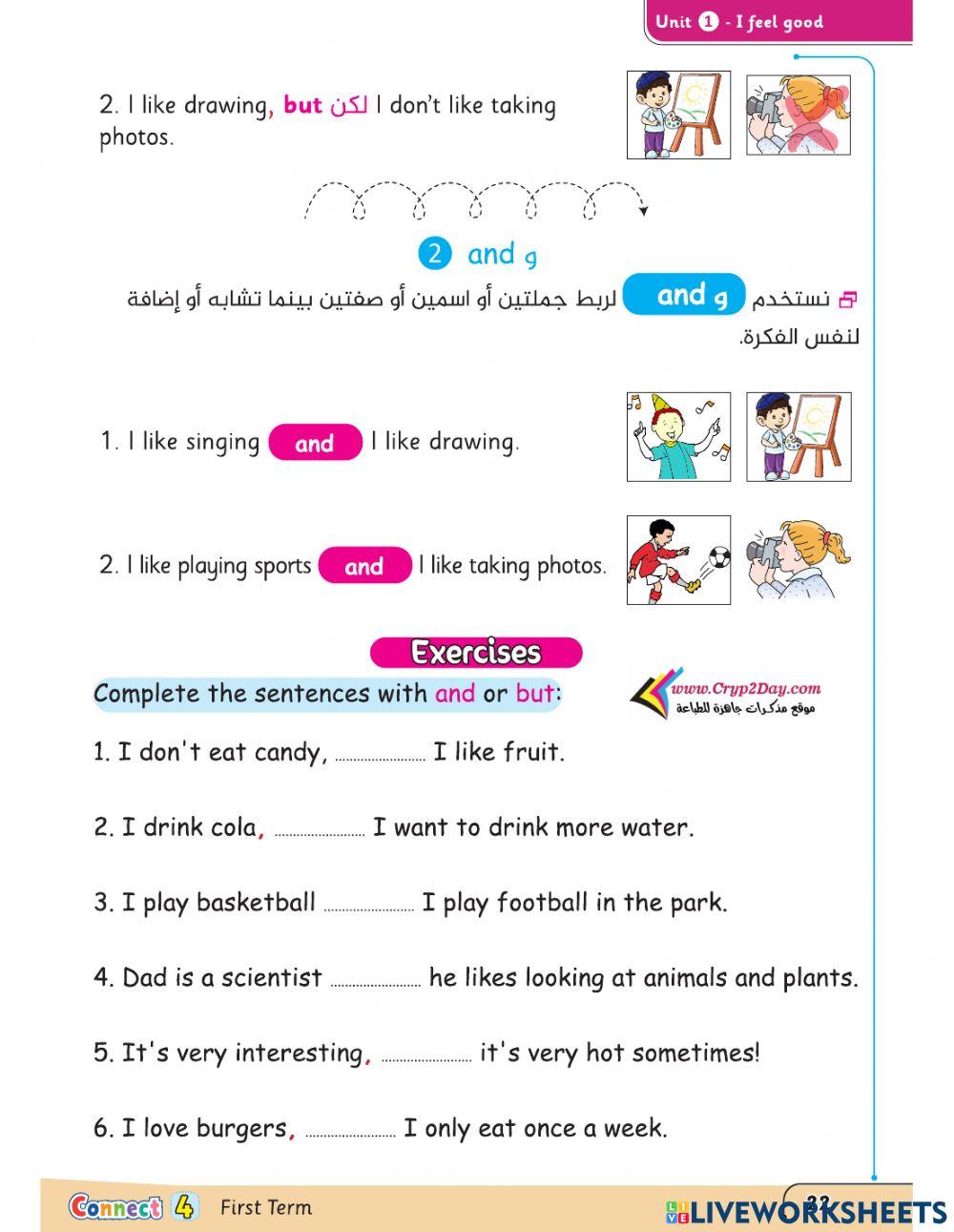 Exercise digestive system and respiratory system