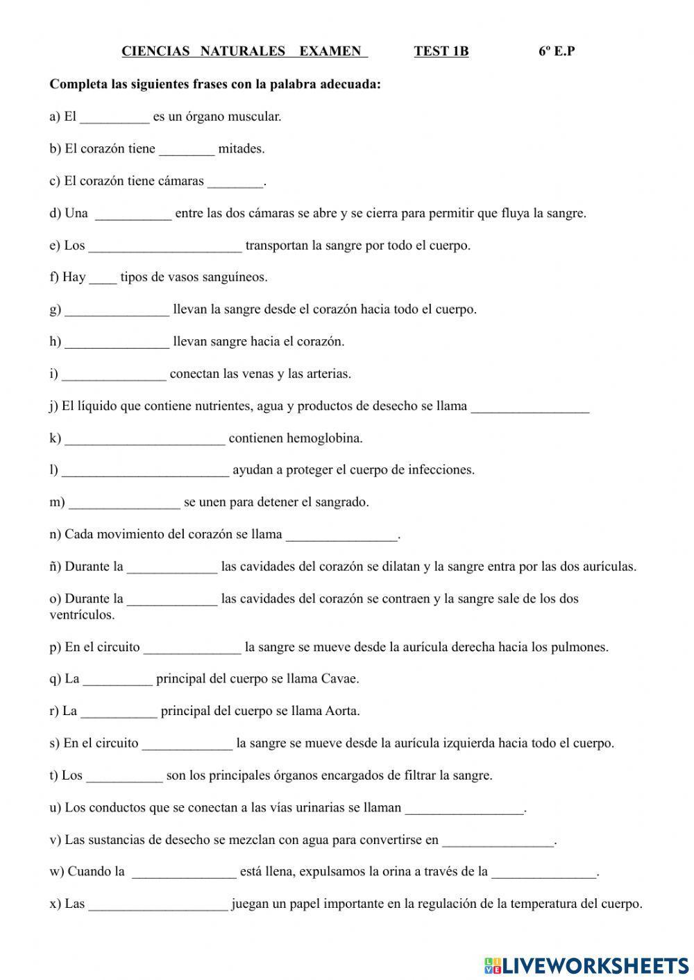 Aparato circulatorio y excretor