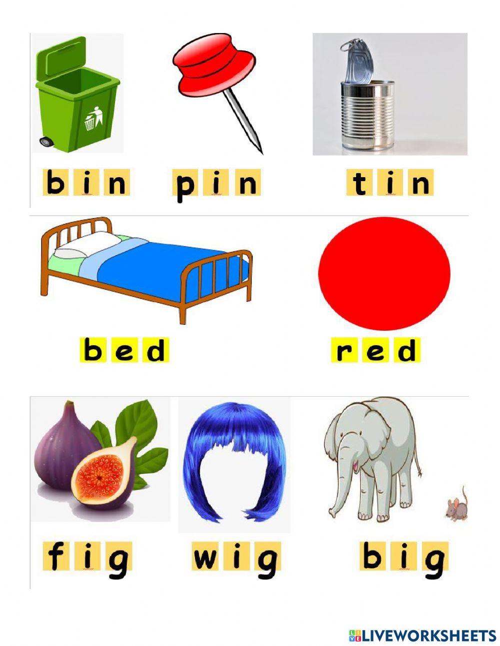Phonics-reading