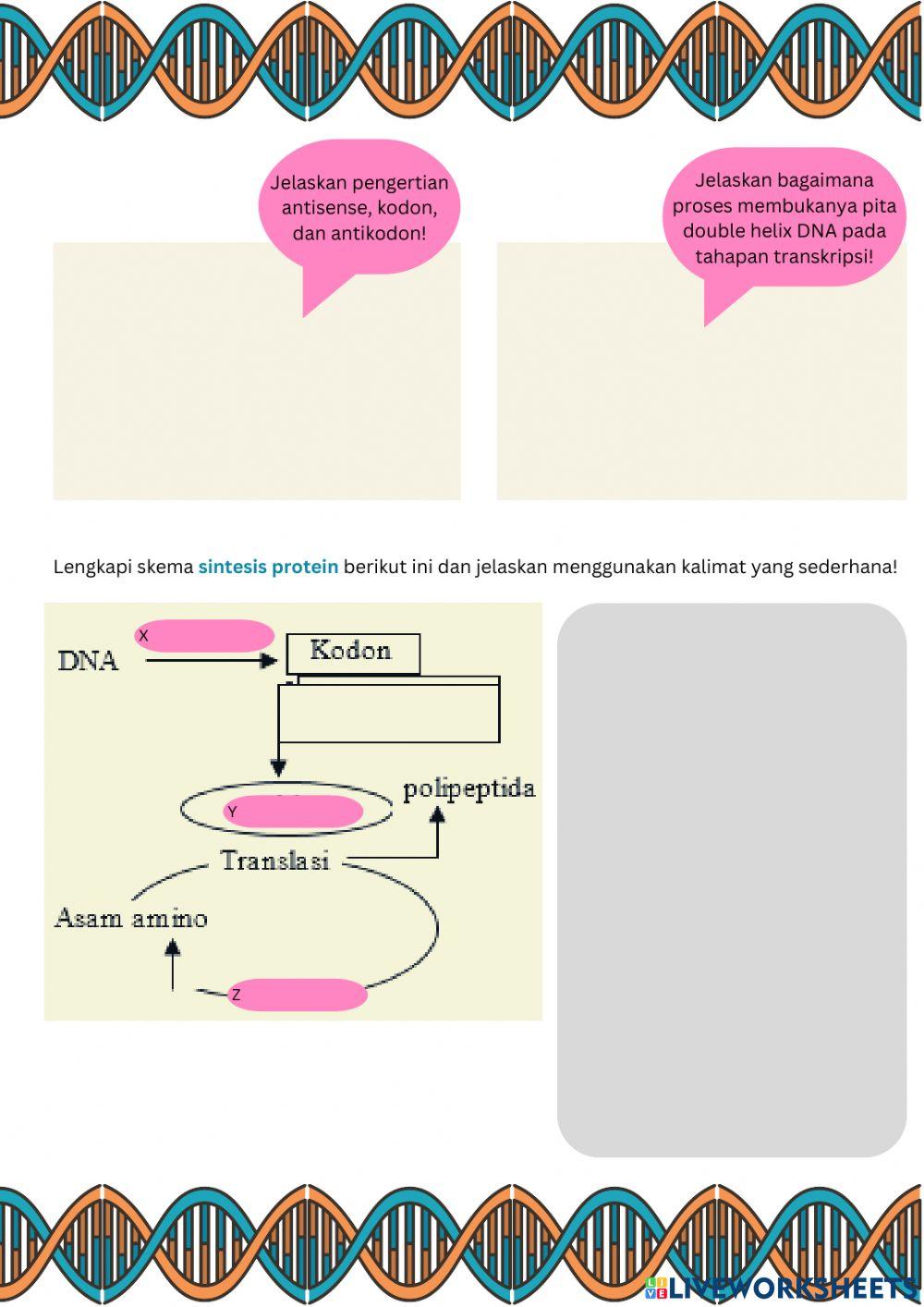 Sintesis Protein Pertemuan 1