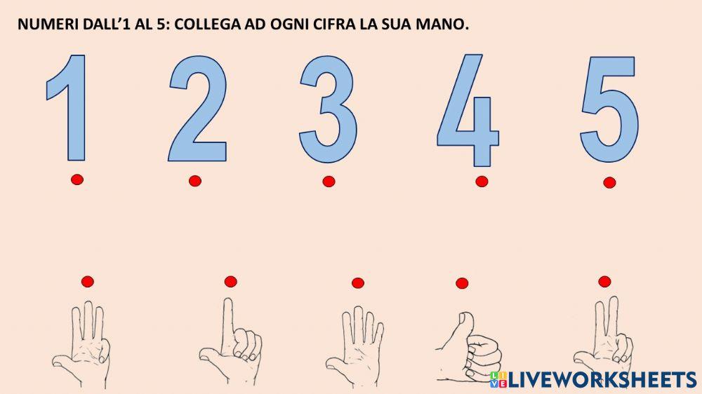 Numeri dall'1 al 5: abbinamento cifra-mano