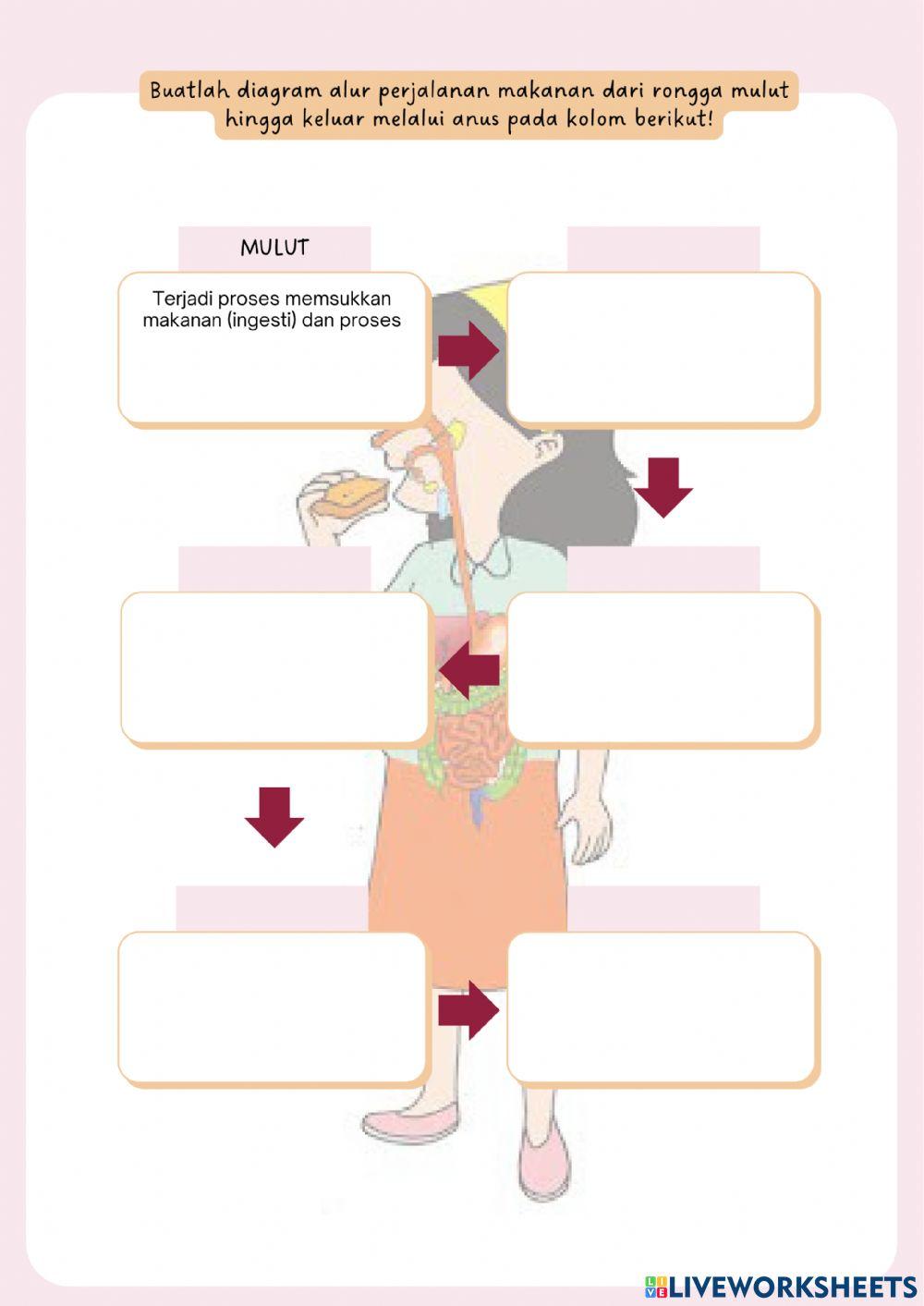 Pembelajaran 2 Subtema 1 Tema 3 Kelas V