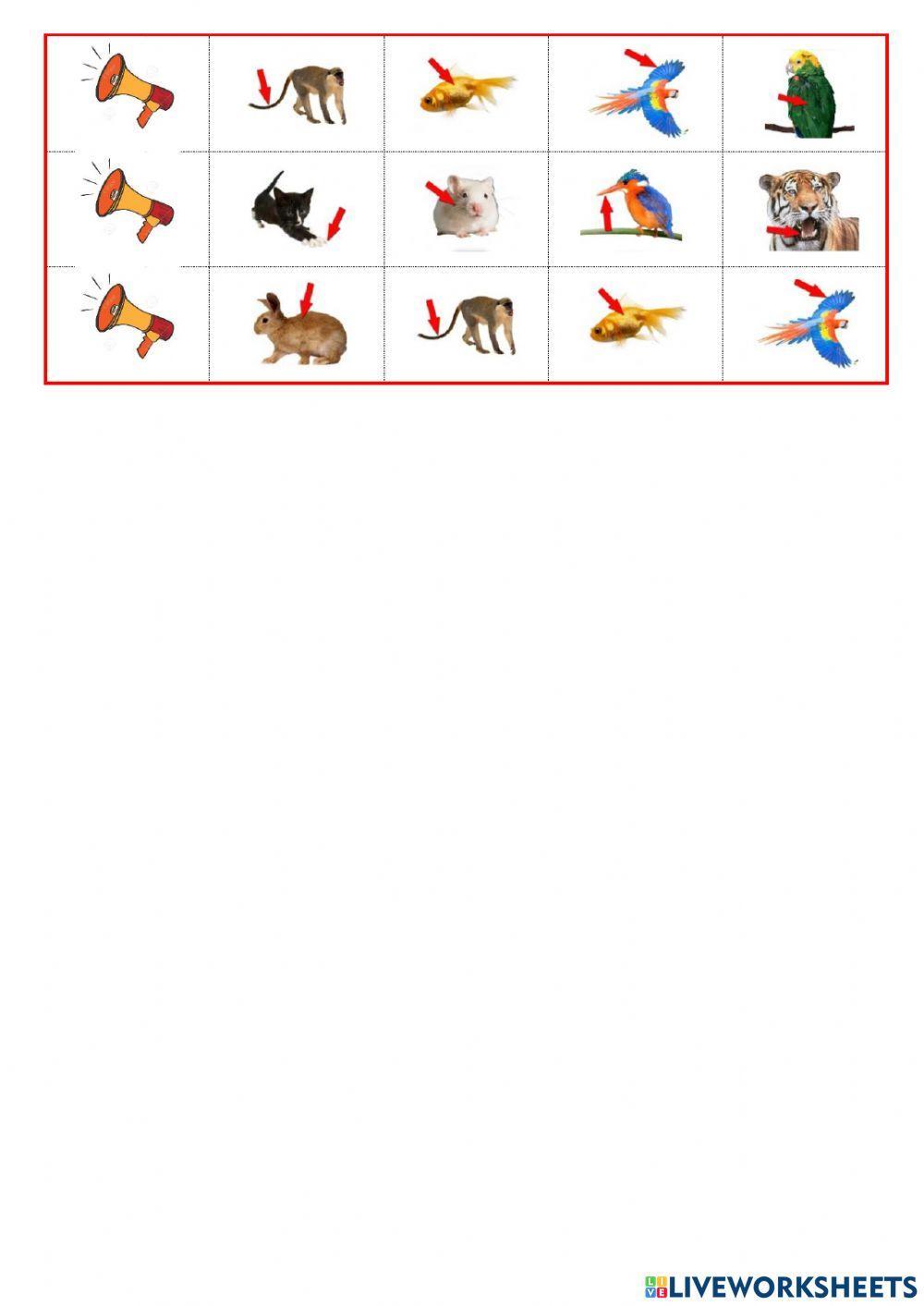 listen and choose part of animal's body tiger 3