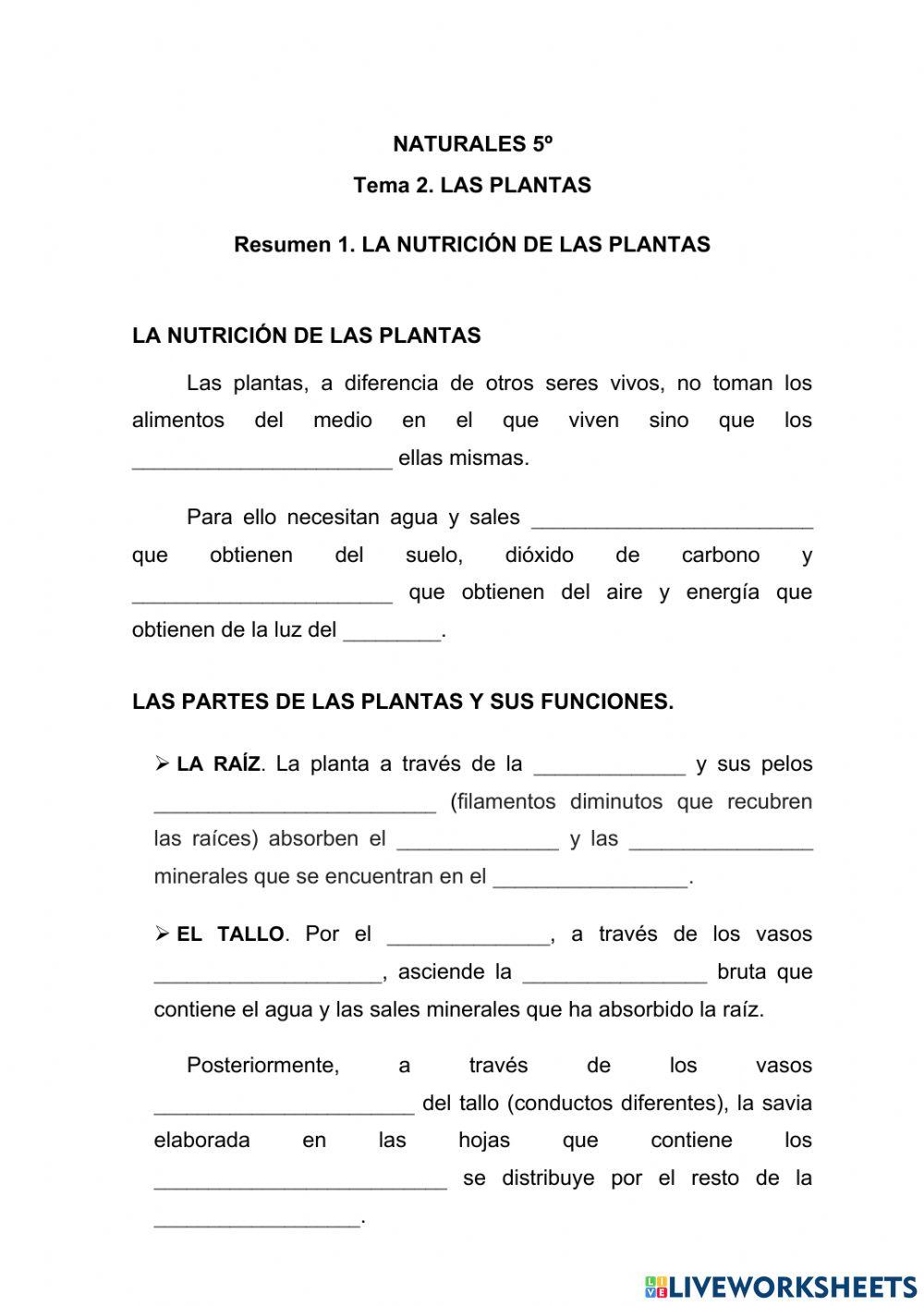 La nutrición de las plantas