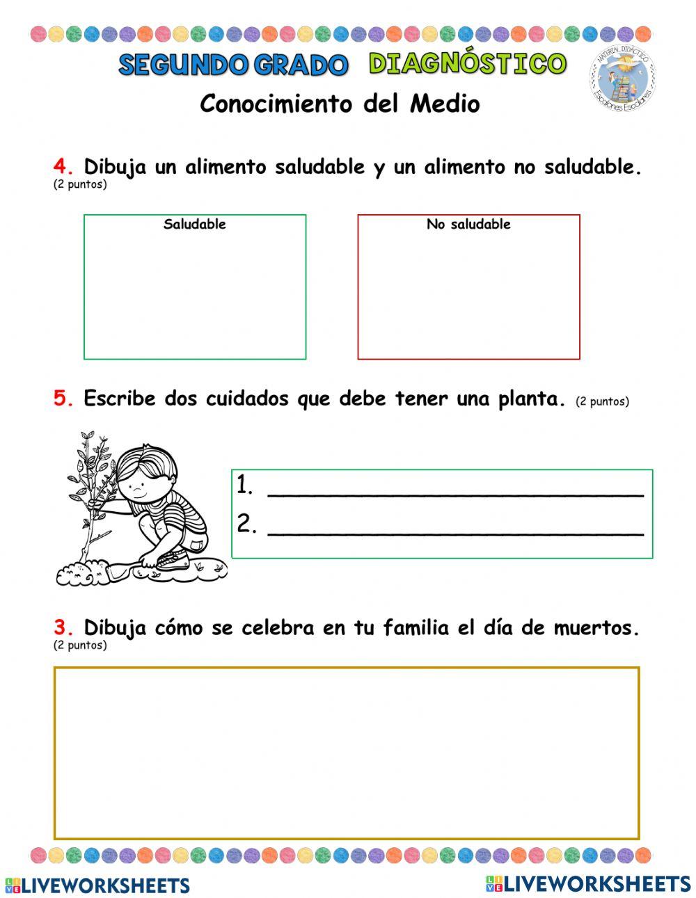 Diagnóstico 2° Primaria