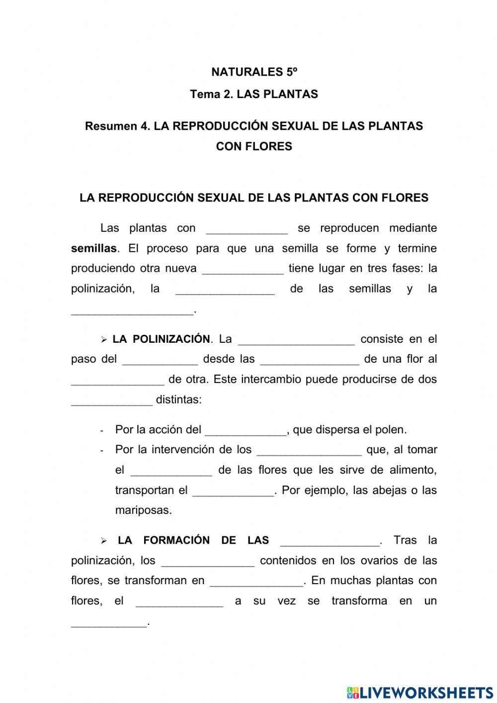 La reproducción sexual de las plantas con flores