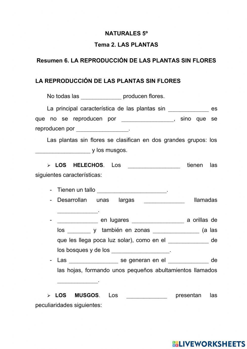 La reproducción de las plantas sin flores