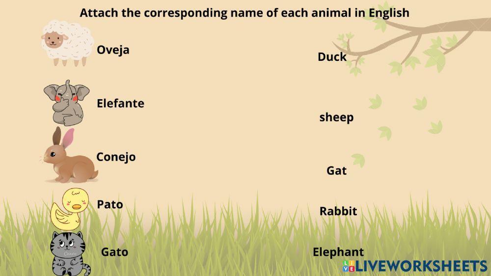 Une el animal con su nombre correspondiente en ingles