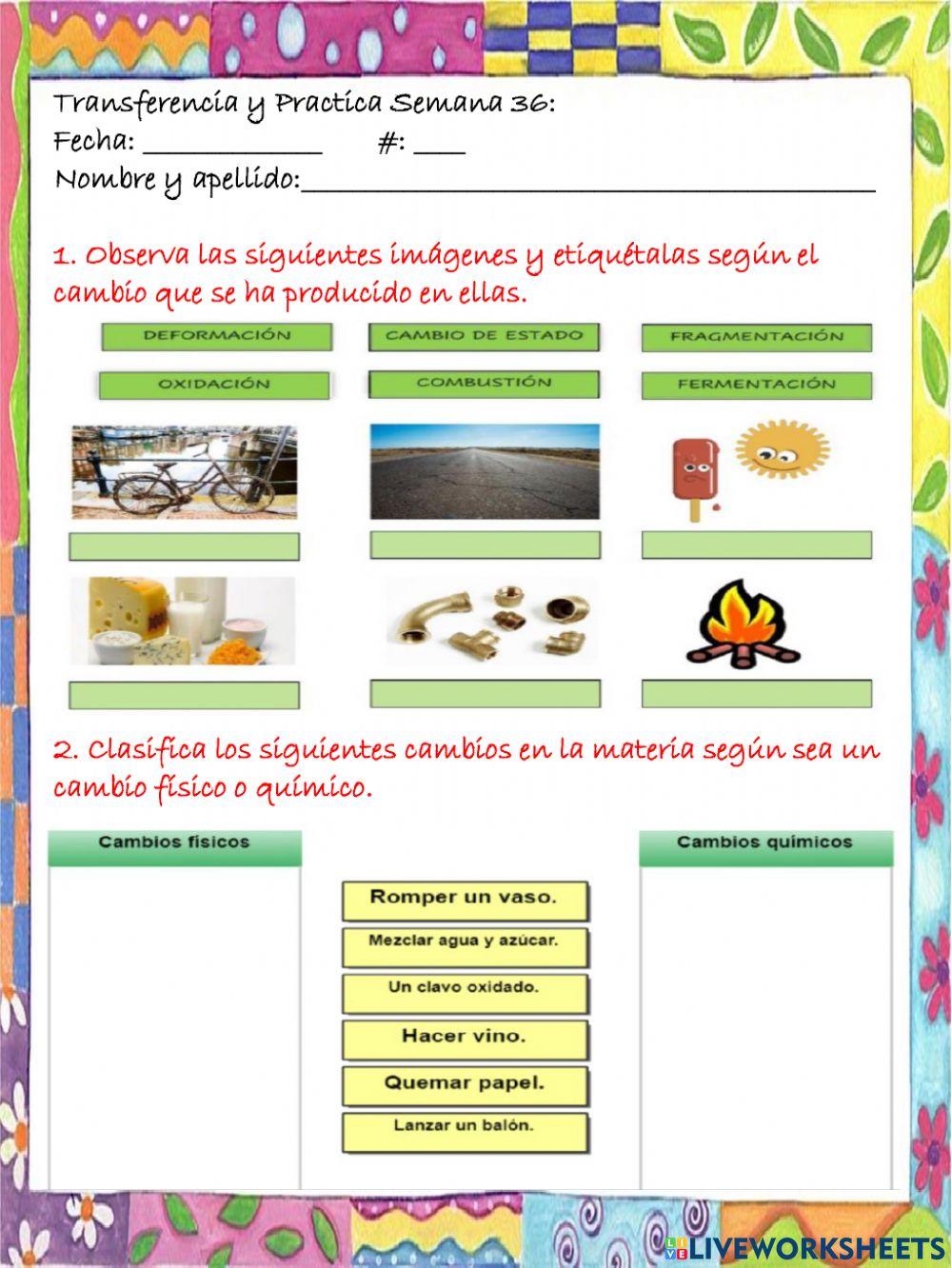 Transferencia y Practica Semana 36