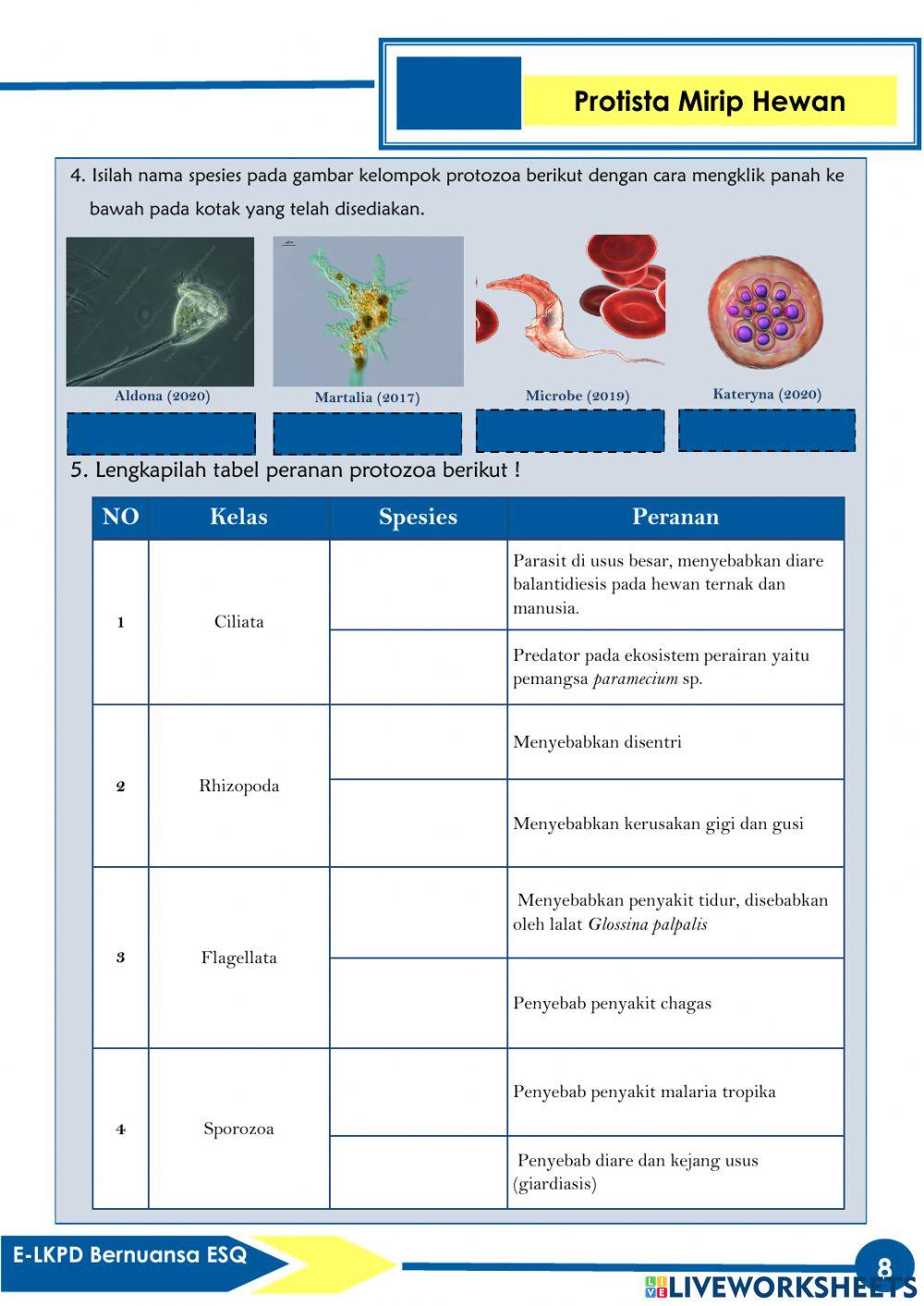 Pengembangan E-LKPD Bernuansa ESQ Pada Materi Protista (Protozoa)