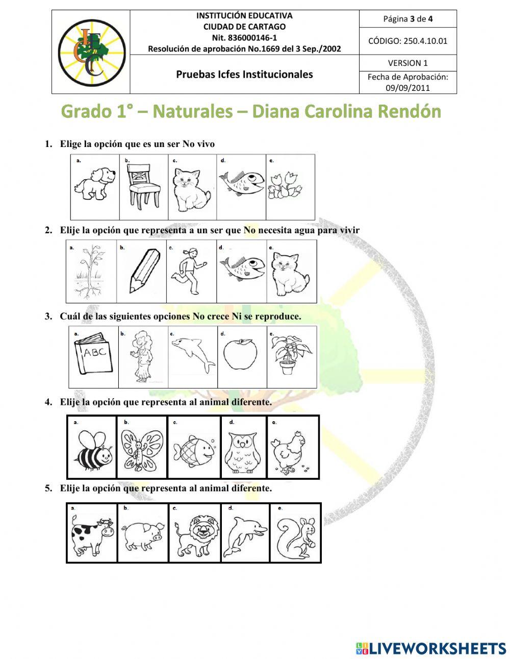 Pruebas institucionales