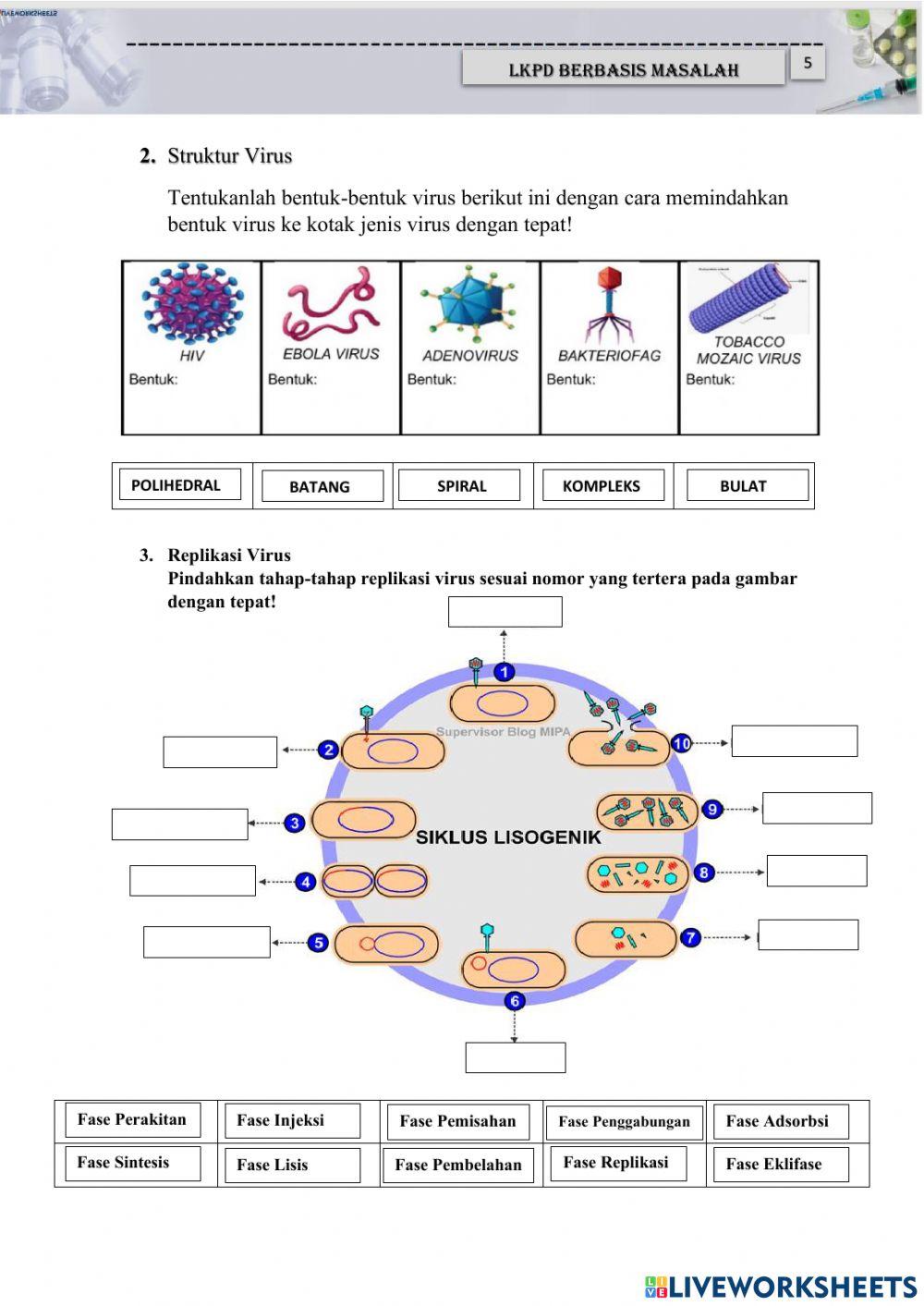 LKPD ELEKTRONIK(virus)