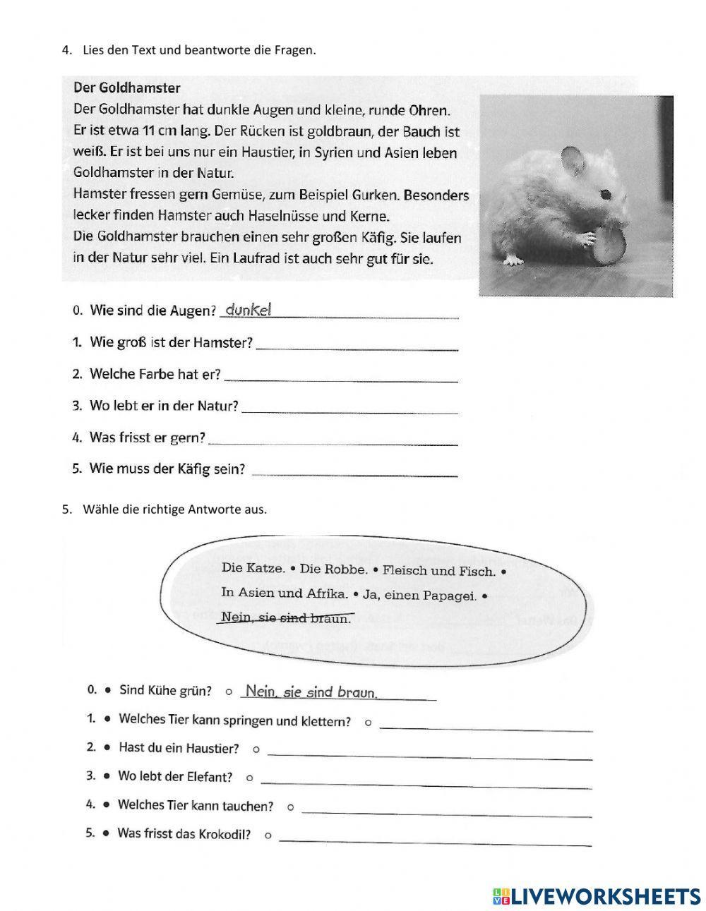 Wilde Tiere beschreiben