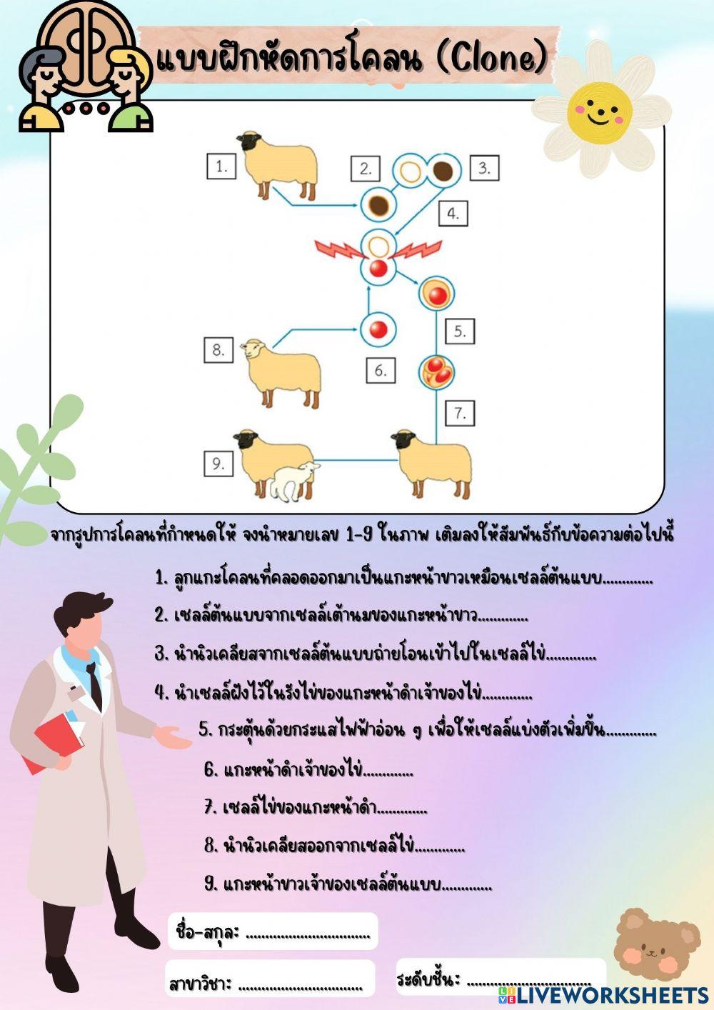 แบบฝึกหัดการโคลน