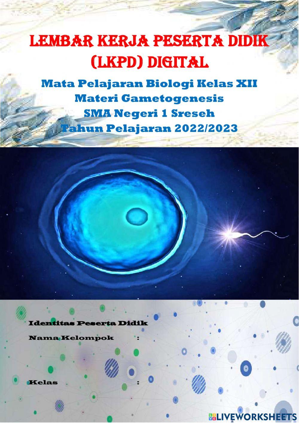 LKPD Digital Biologi (Gametogenesis)