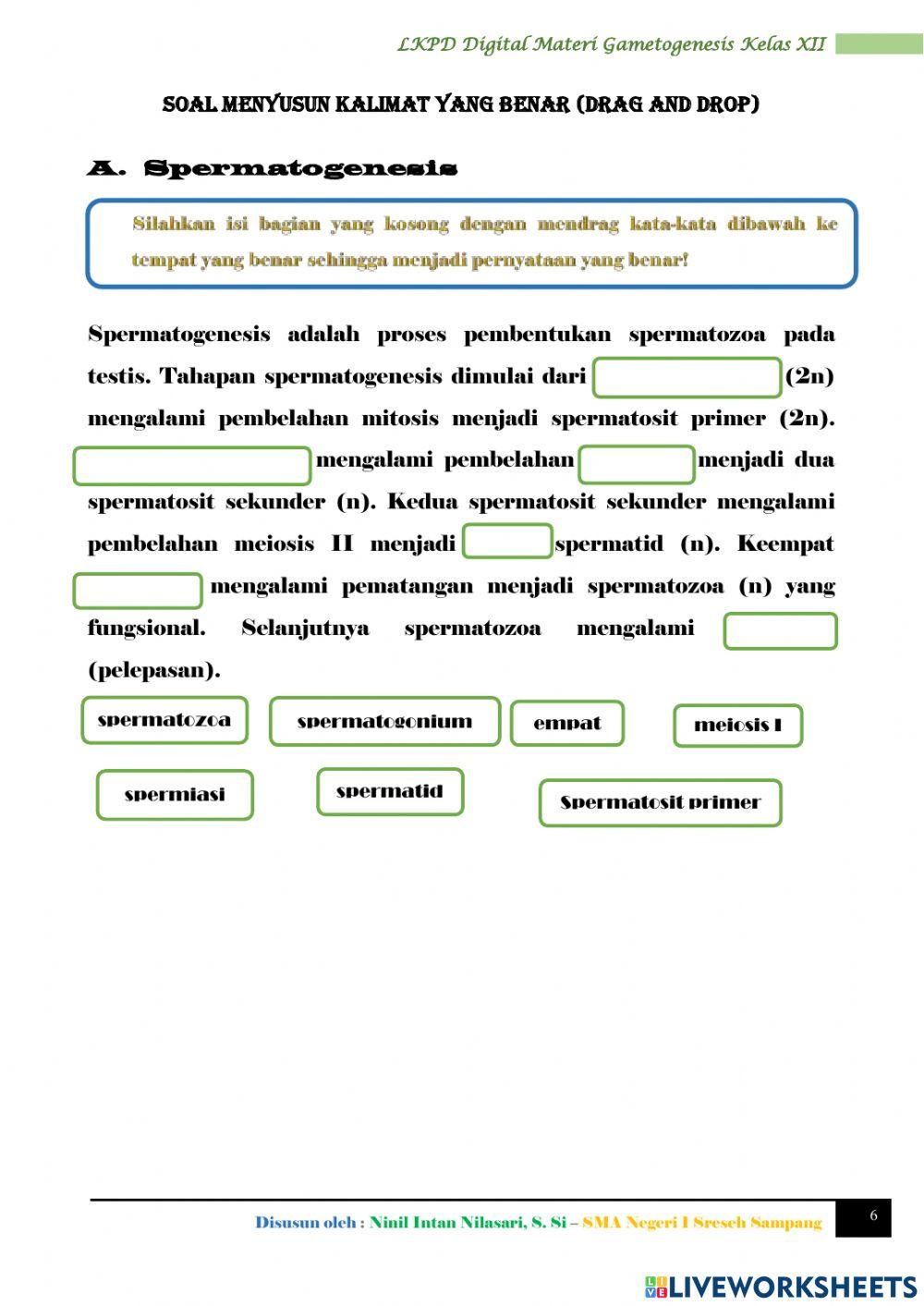 LKPD Digital Biologi (Gametogenesis)
