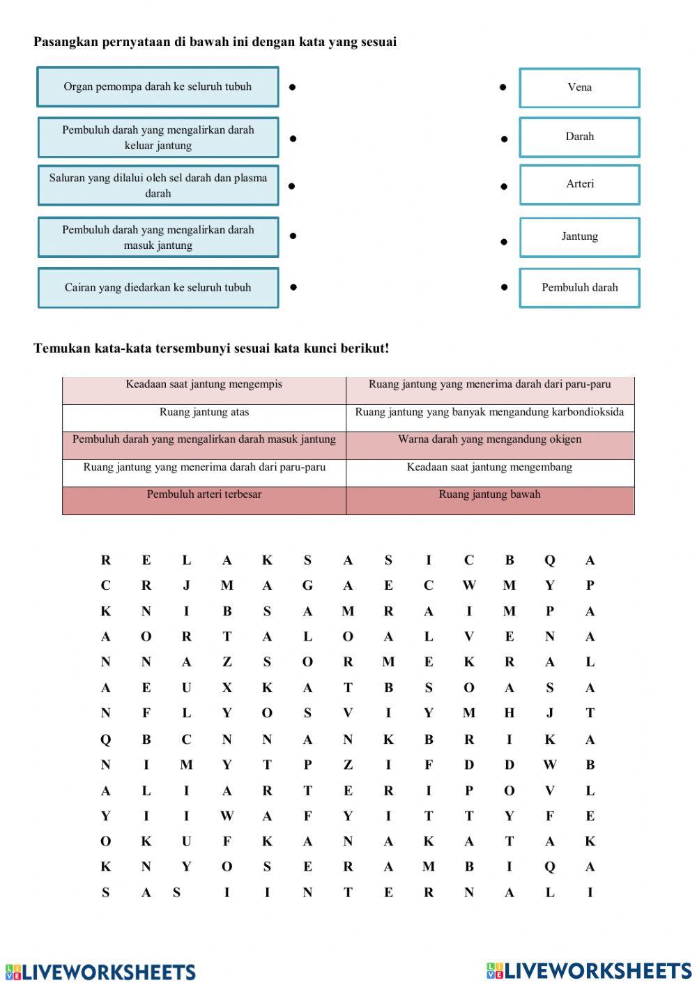 LKPD SISTEM PEREDARAN DARAH KELAS 8