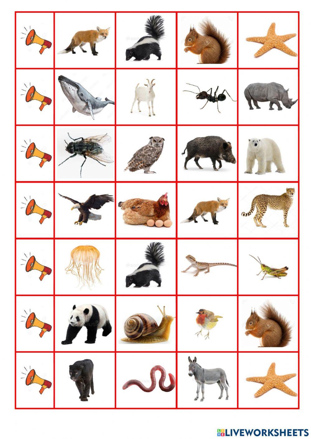 listen and choose wild animals 2