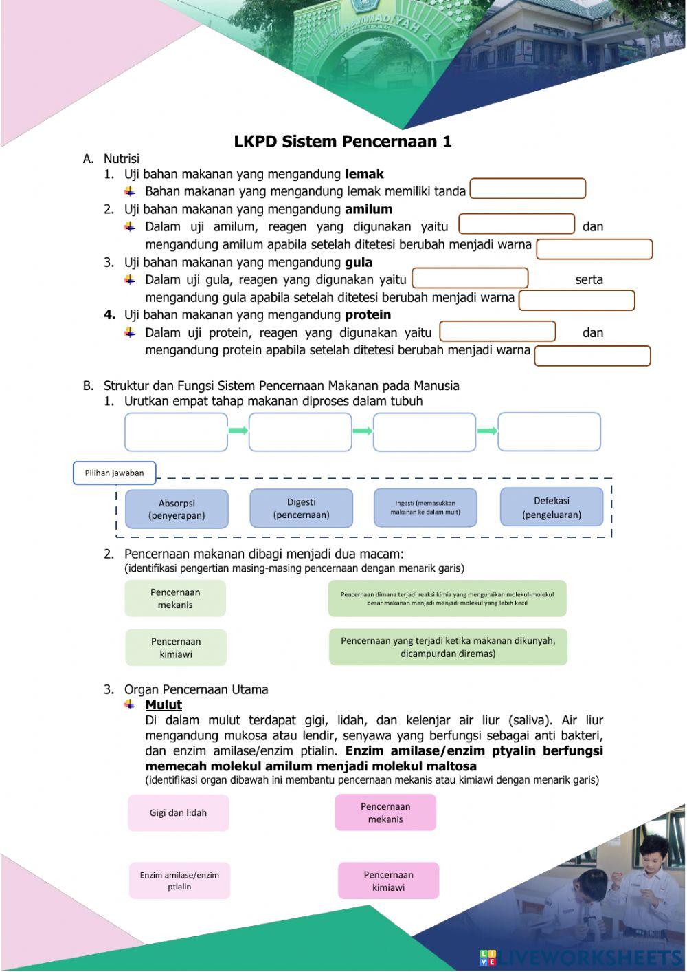 LKPD Pencernaan 1