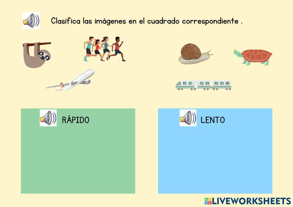 Clasifica las imágenes en el cuadrado correspondiente .