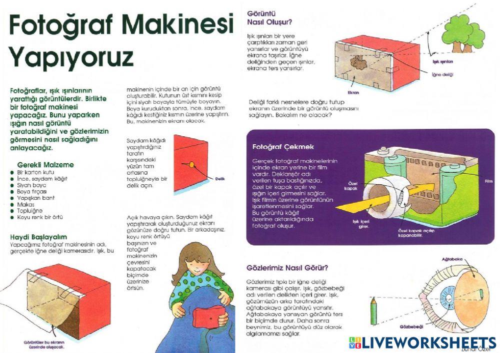 5 DUYU ORGANI - GÖZ 5 DUYU ORGANI - GÖZ