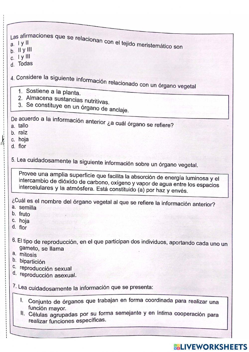 Tejidos y Örganos de las plantas