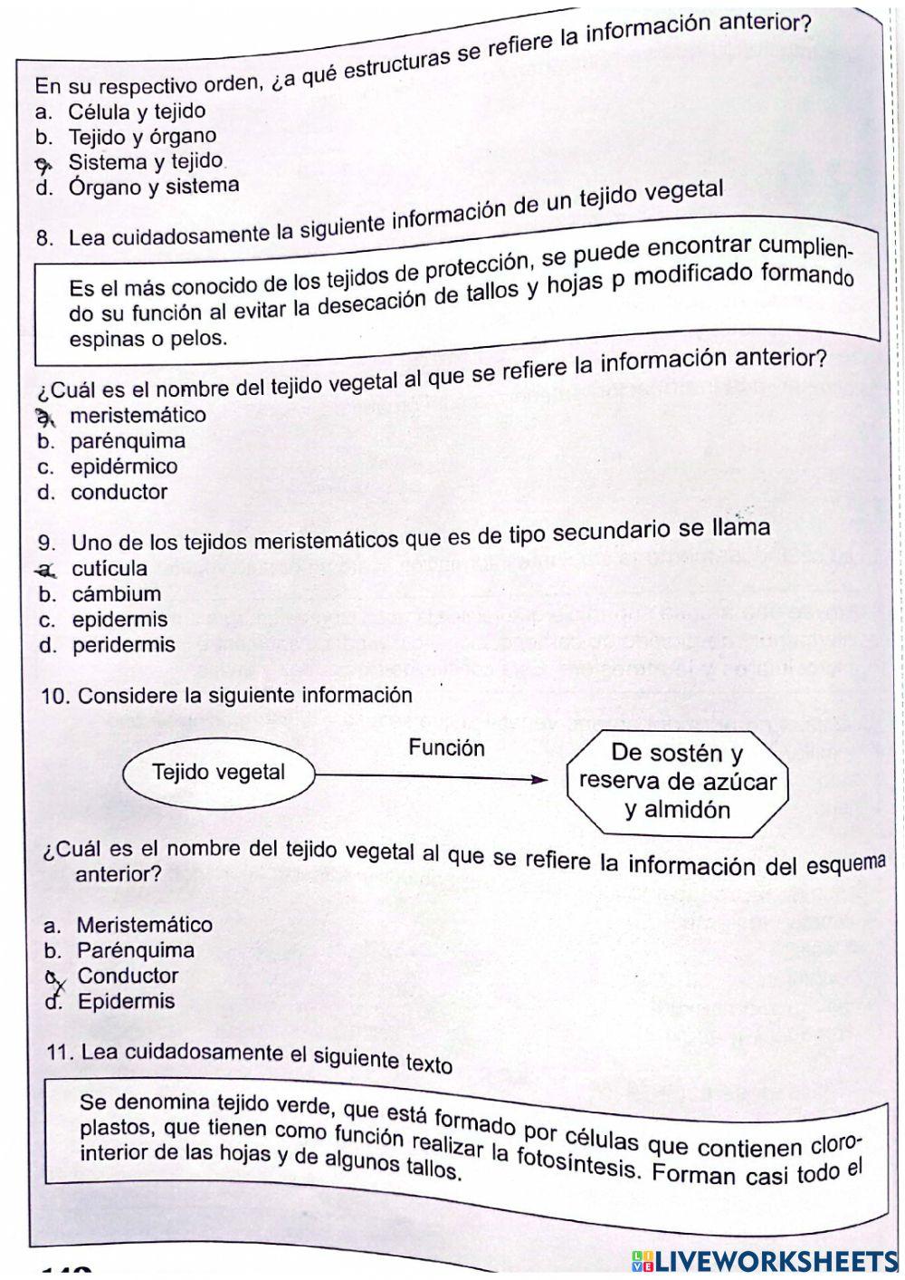 Tejidos y Örganos de las plantas