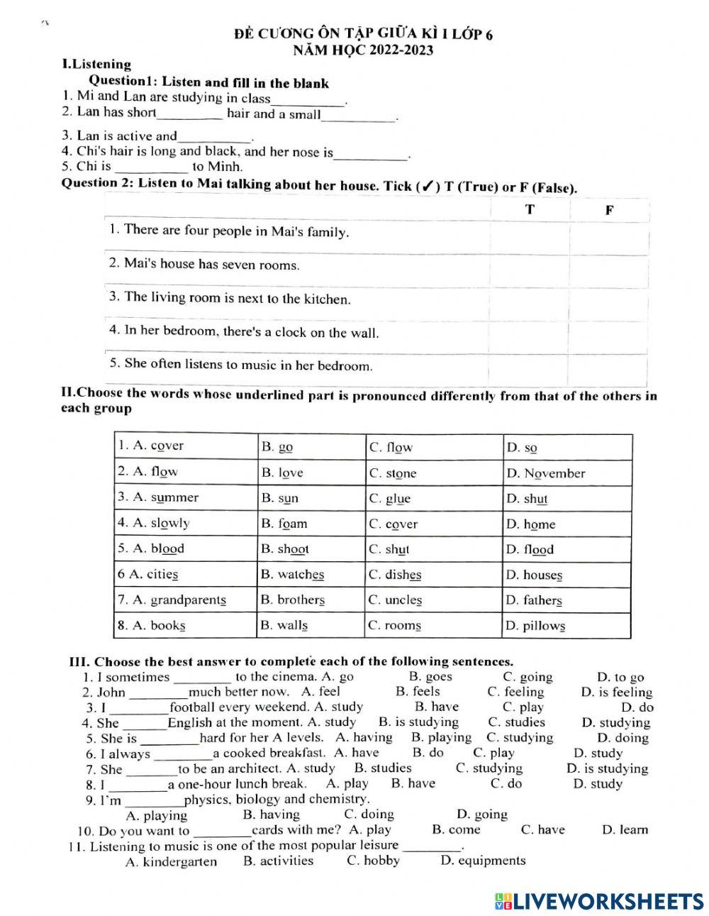 G6-decuong gk1 nvt 2022