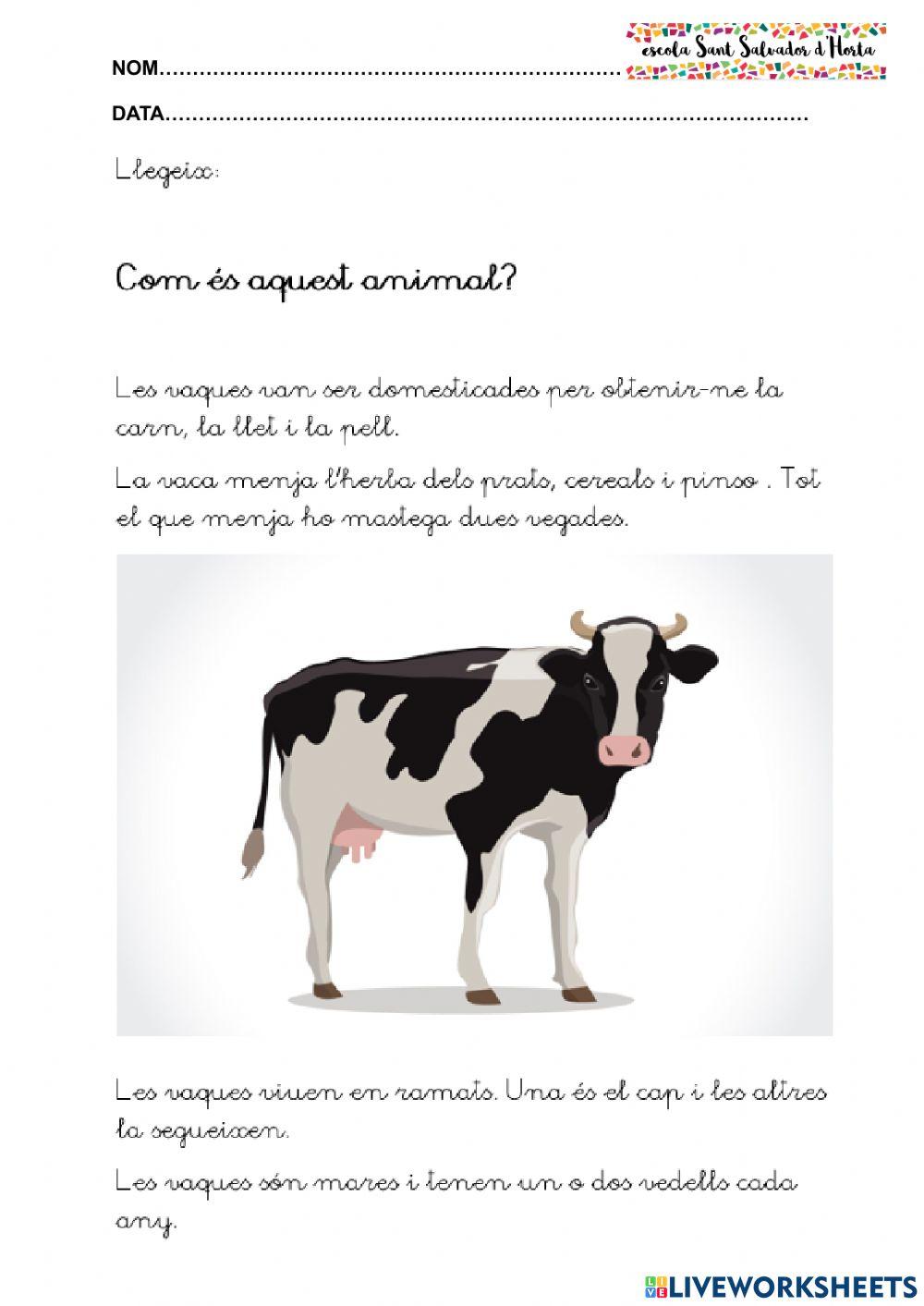 Comprensió lectora 2