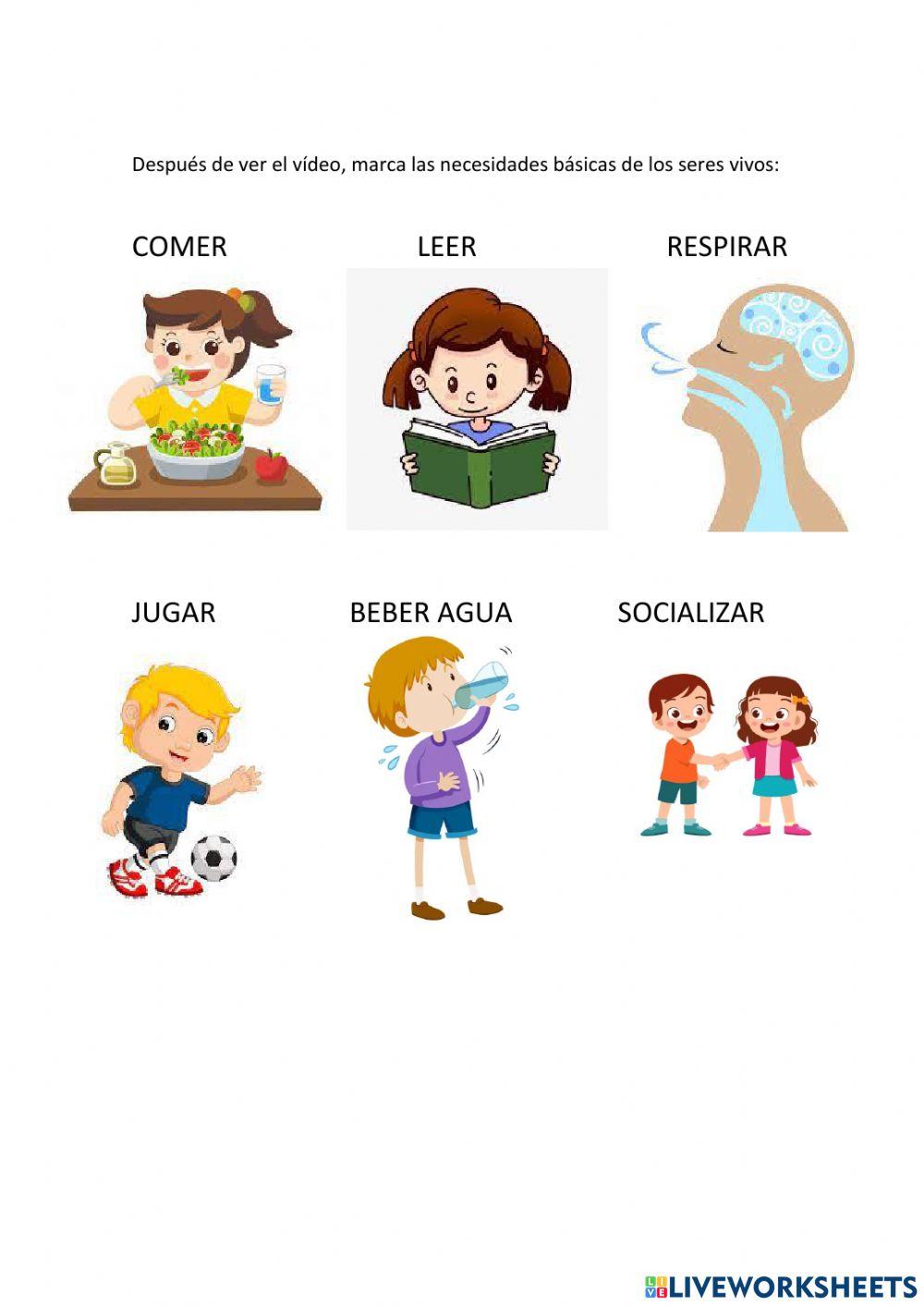 Necesidades básicas