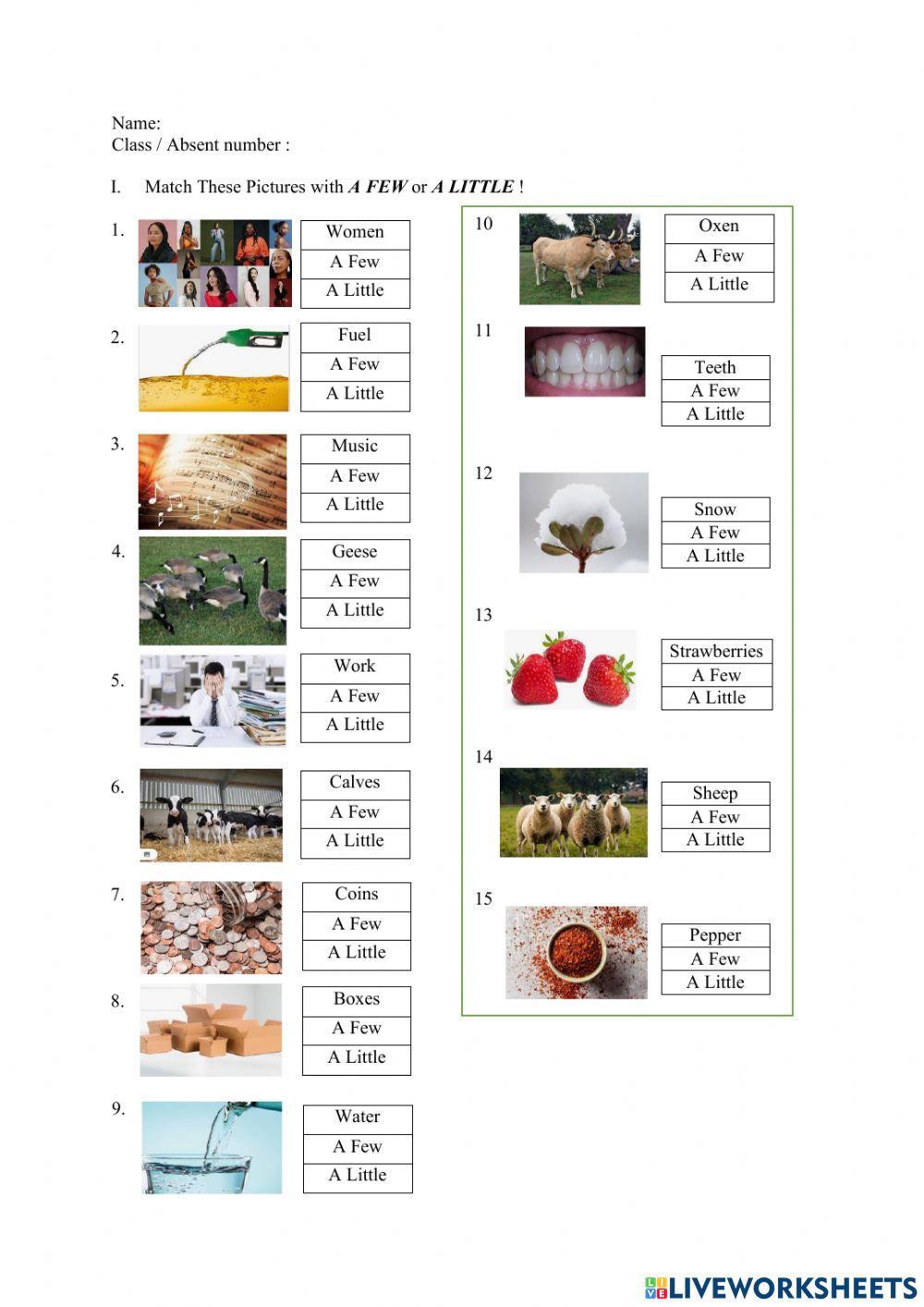 Exercise 3: A Few - A Little