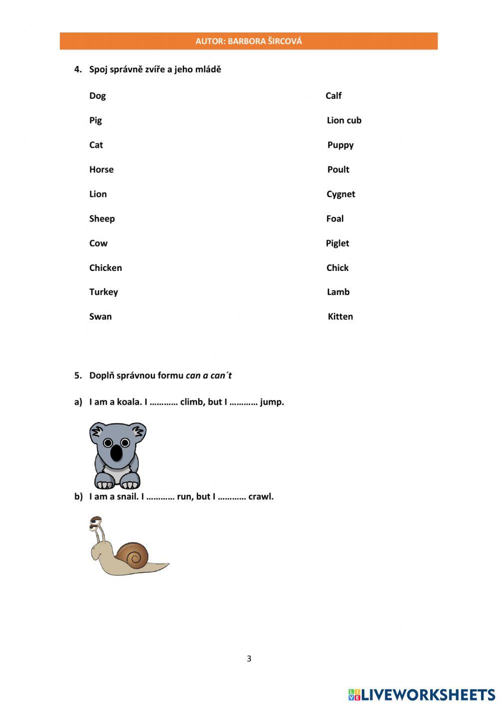 Pracovní list - Animals