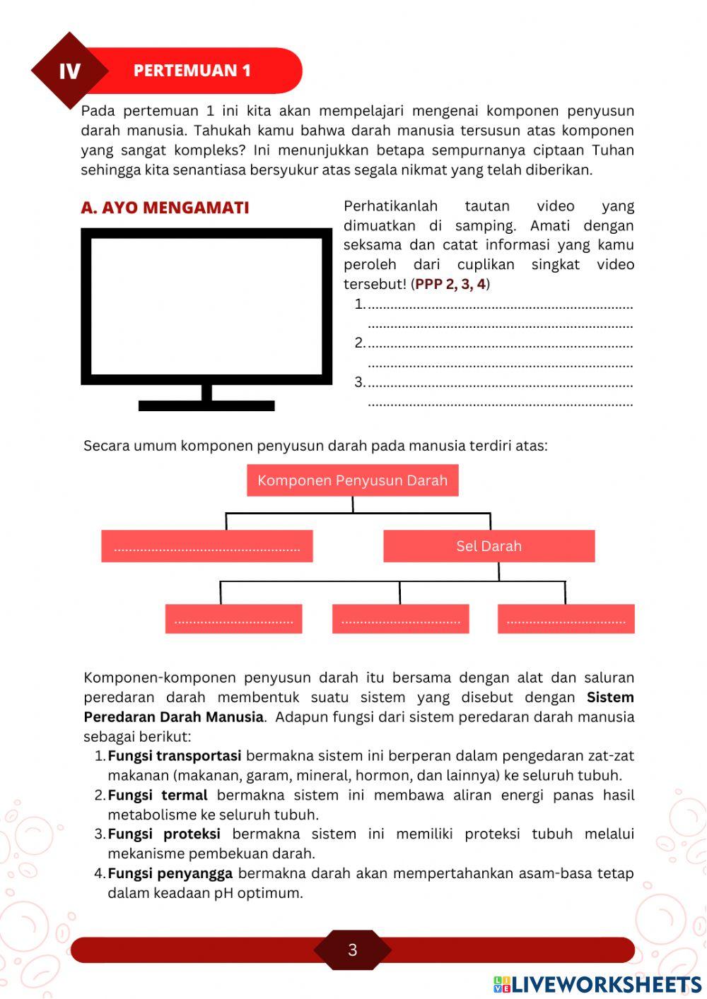 E-LKPD Sistem Peredaran Darah Manusia Kelas XI