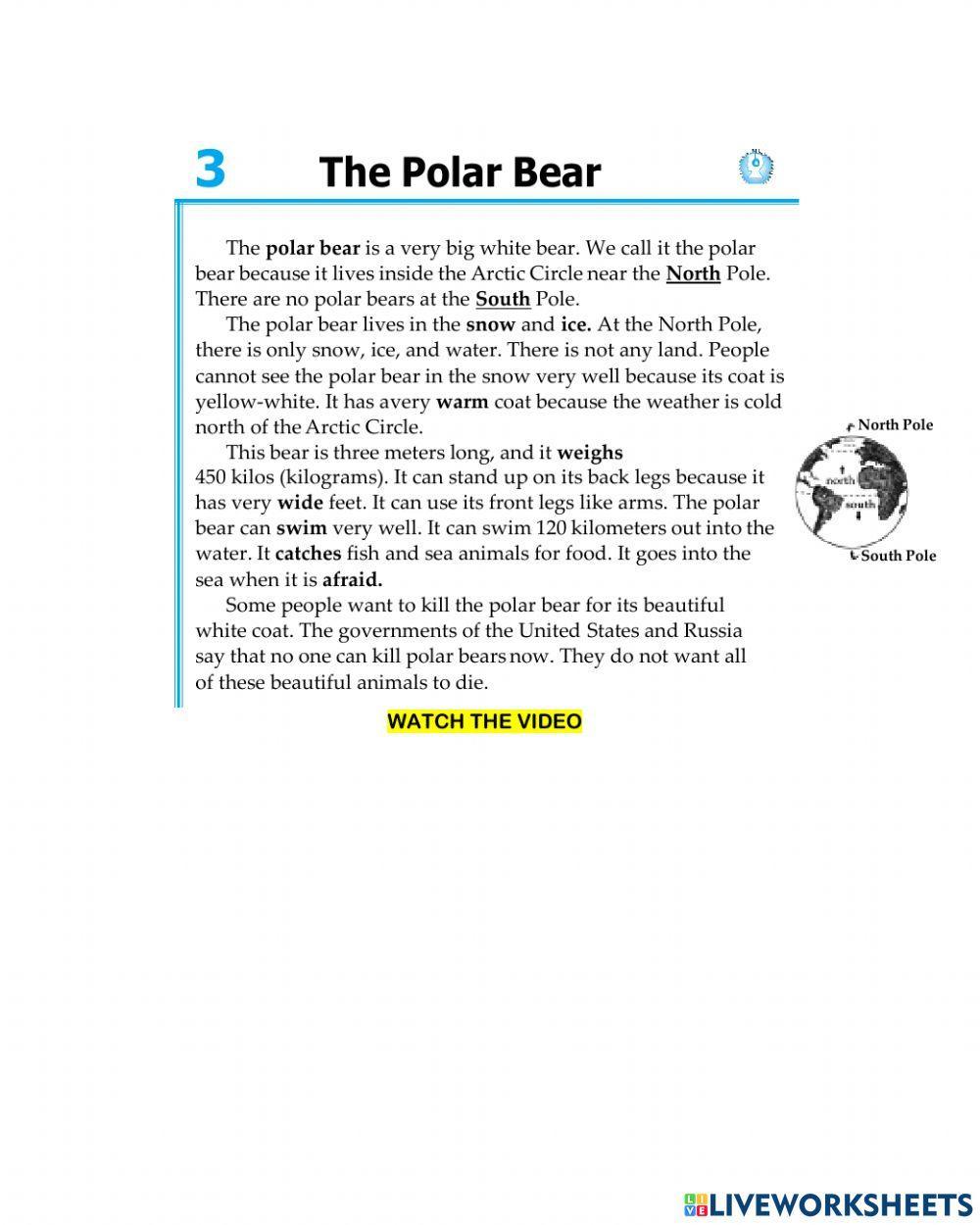The Polar Bear