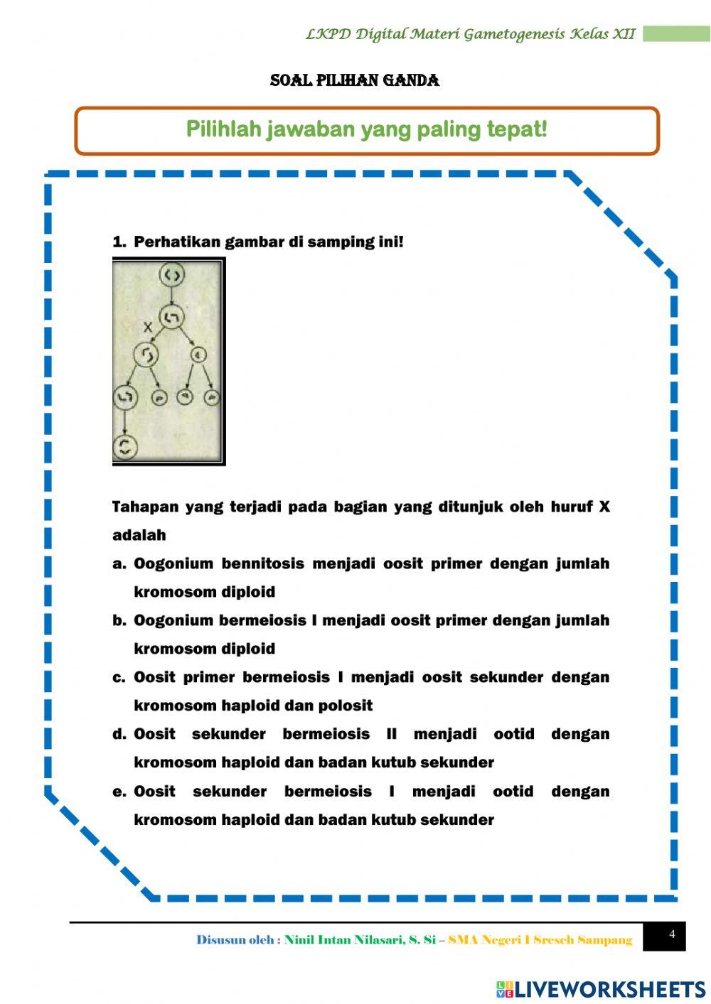 LKPD Online (Gametogenesis)