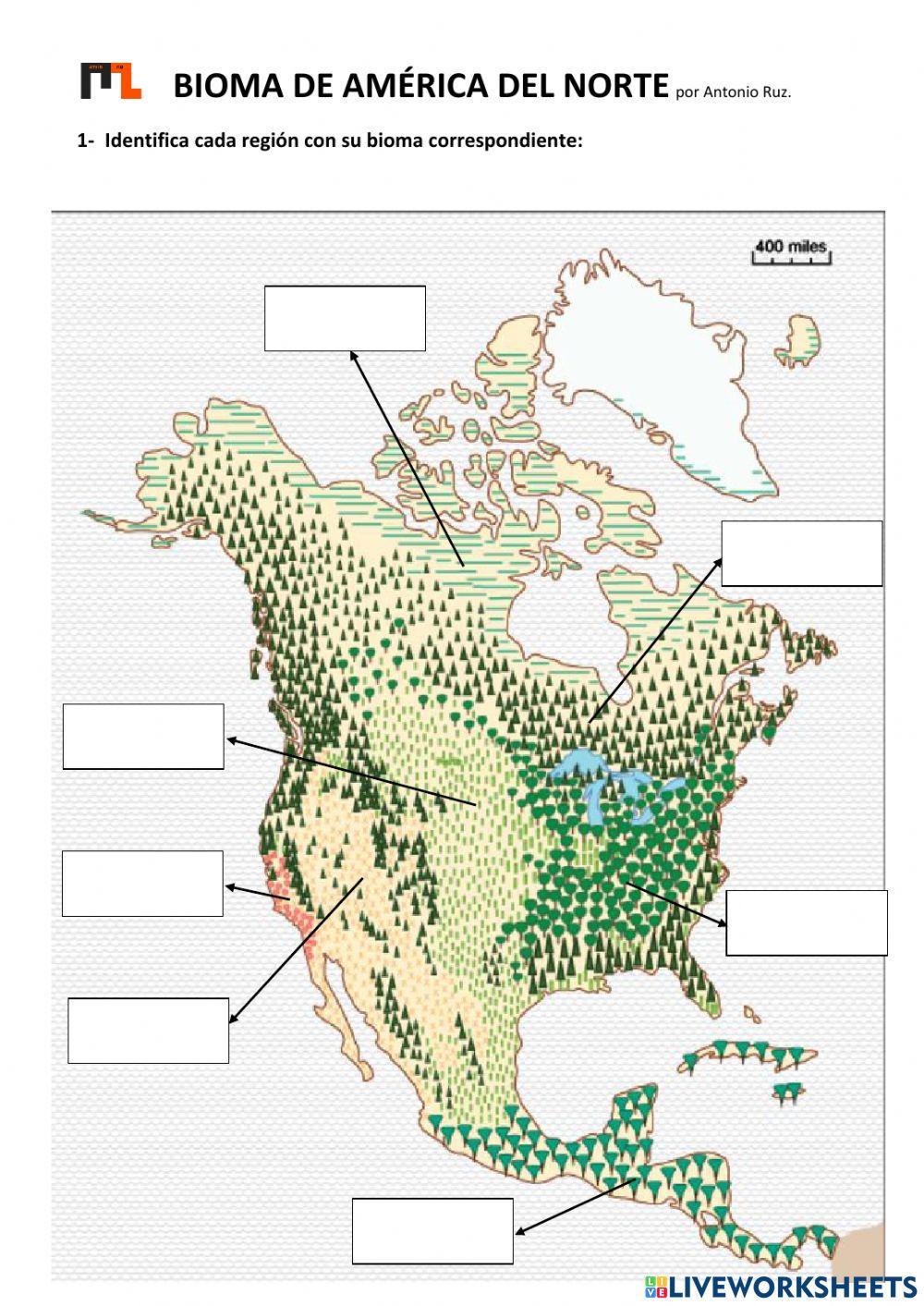 Bioma del Norte de América