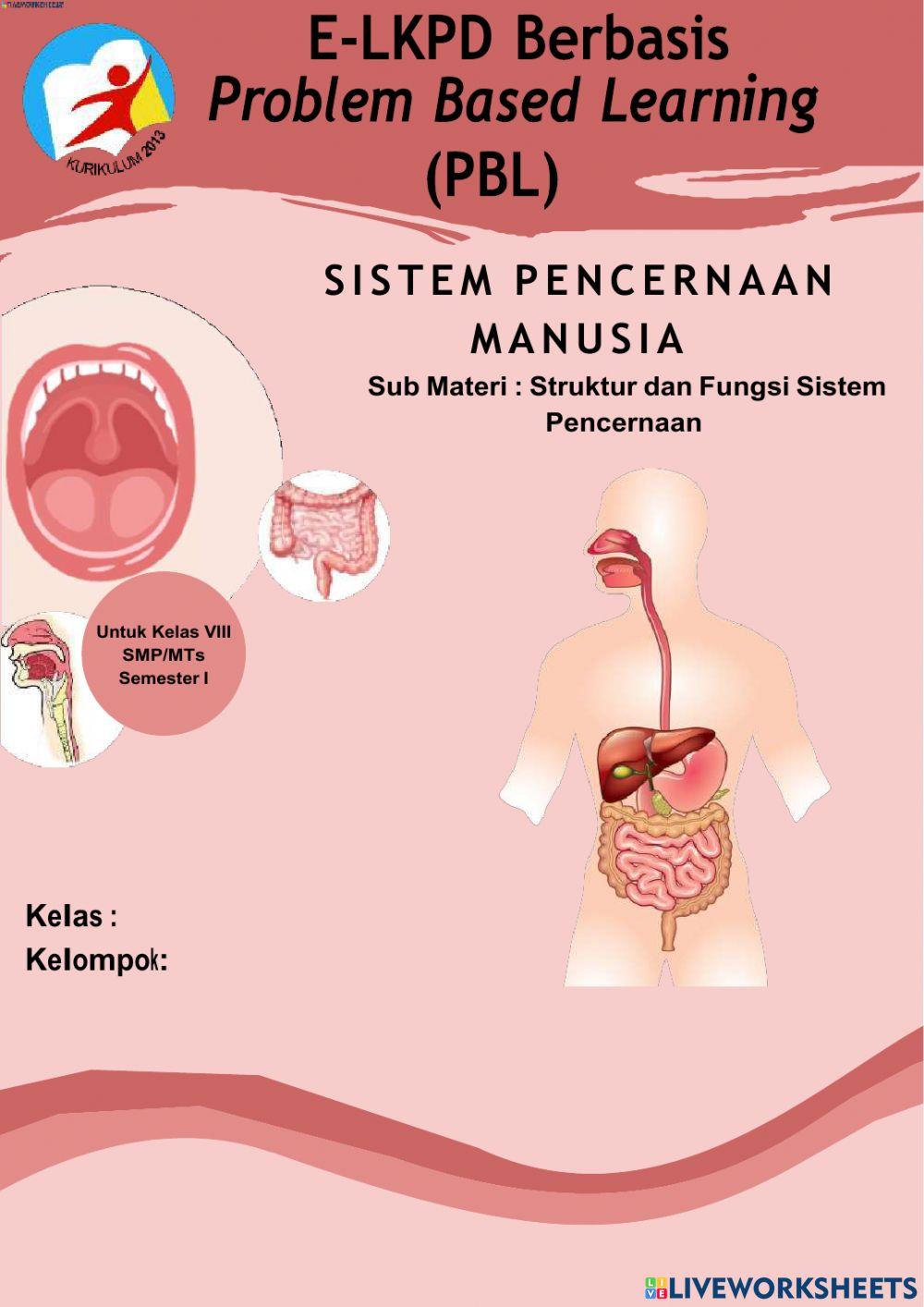 LKPD Struktur dan Fungsi Sistem Pencernaan