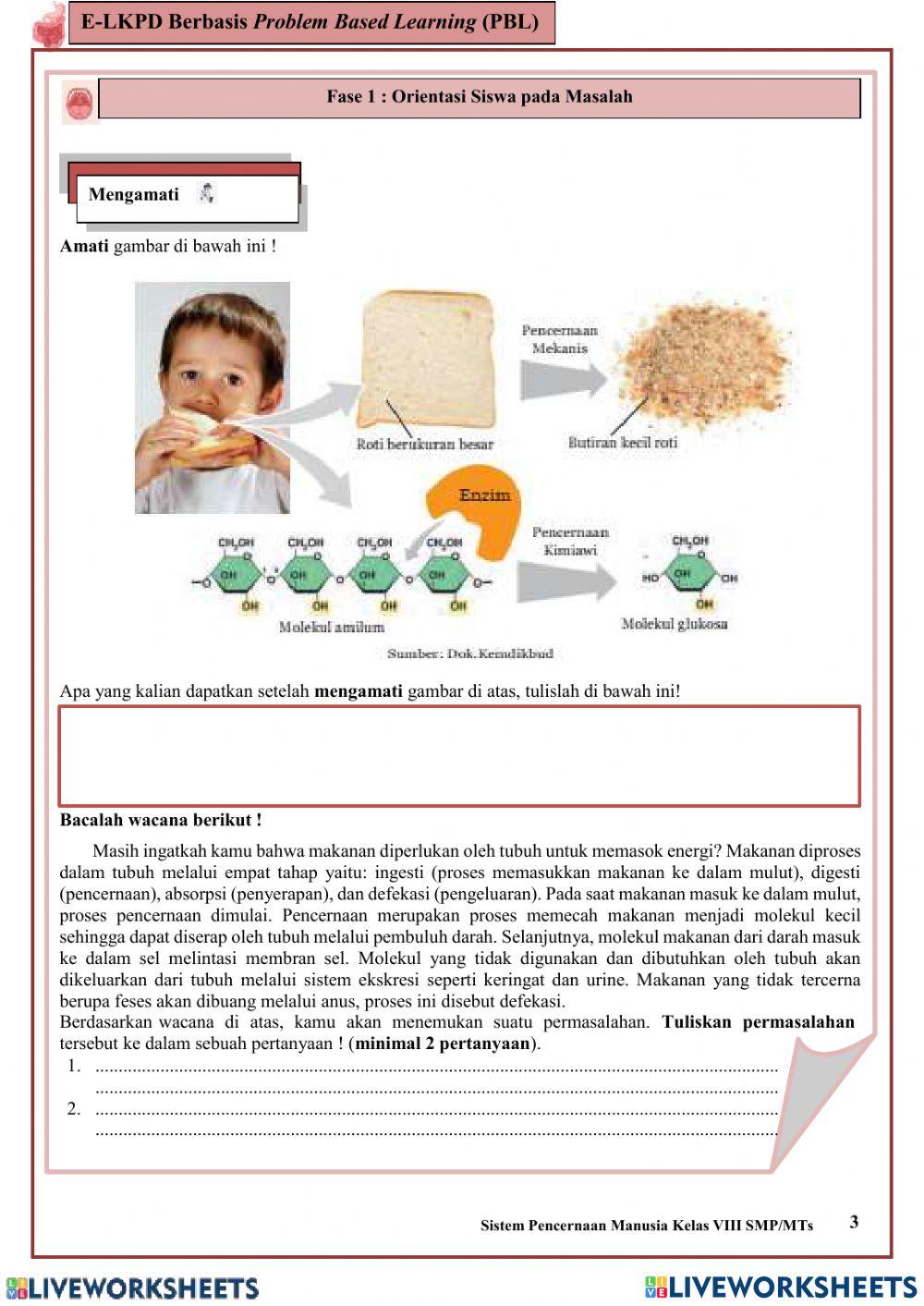 LKPD Struktur dan Fungsi Sistem Pencernaan