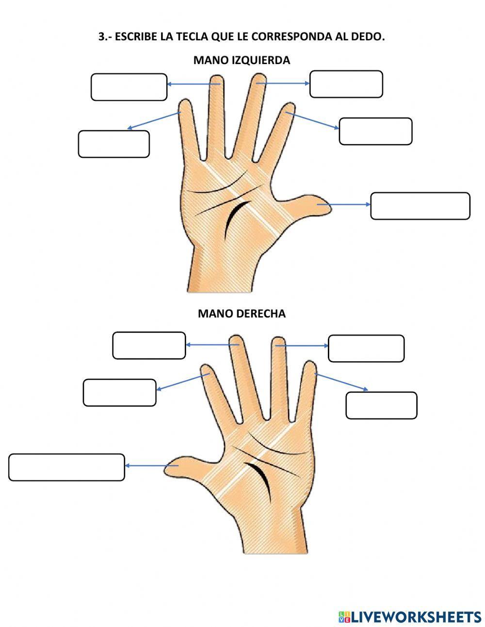 Teclado iee 1 y 2 grado