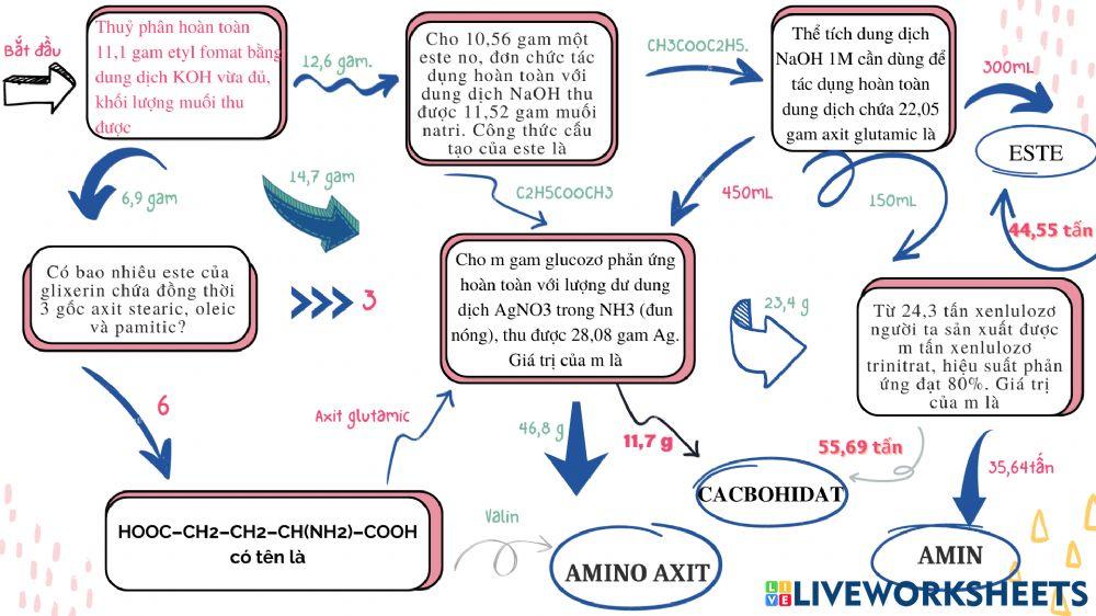 Ôn tập giữa kì i-22-23