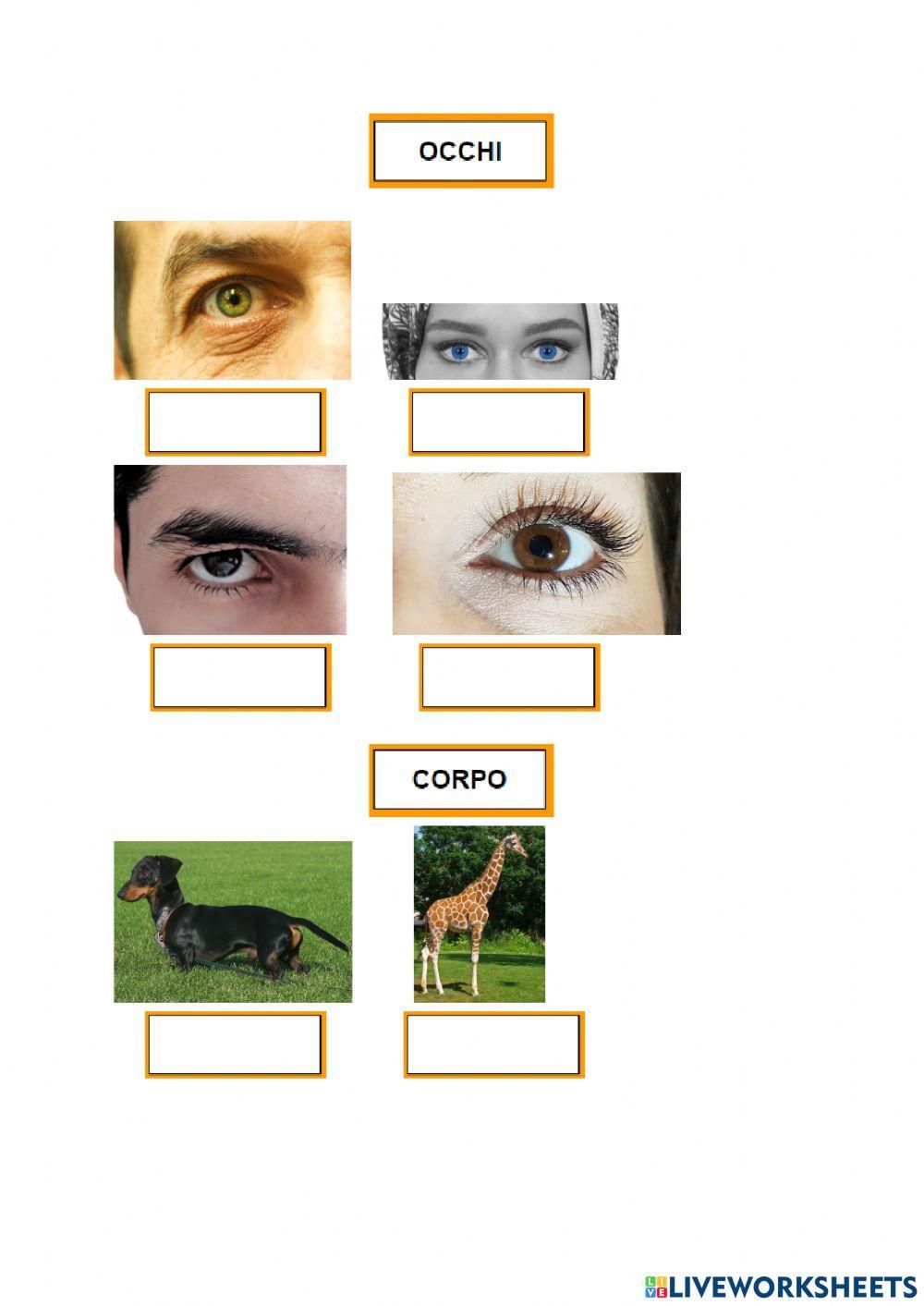 Descrivere aspetto ed emozioni