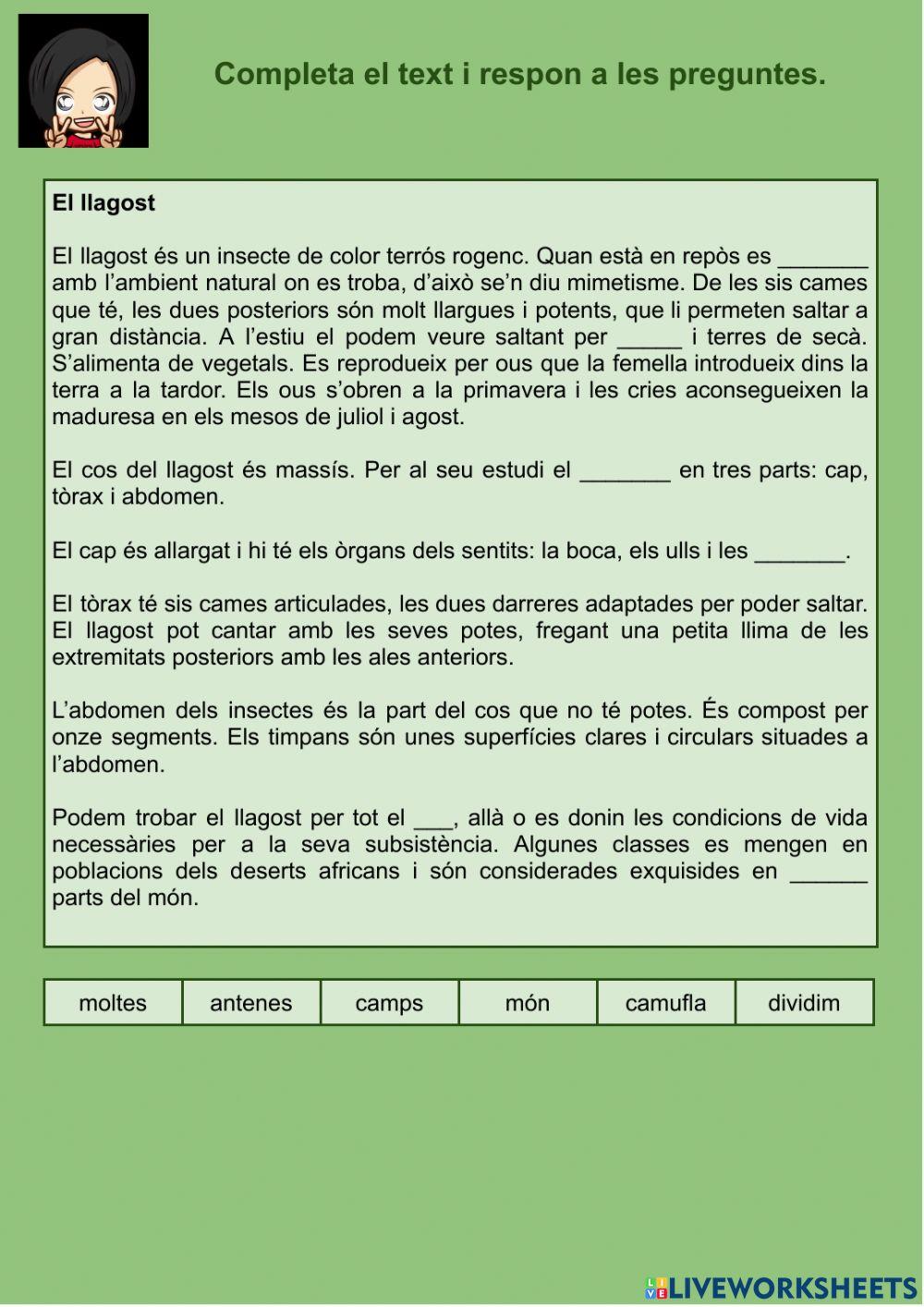 Comprensió lectora 07